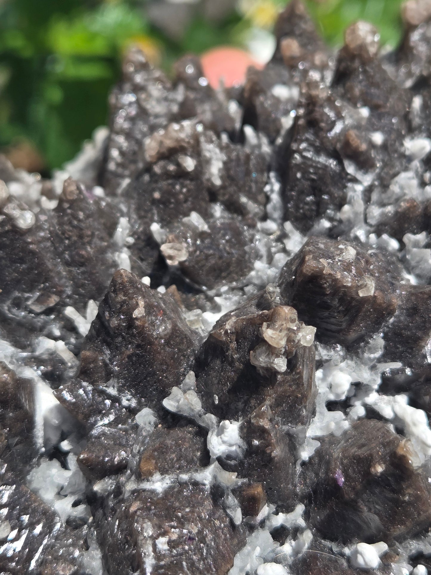 Dogtooth Calcite with Secondary Selenite Coating (Mexico)