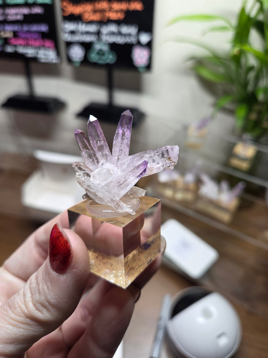 ZComment to claim NK