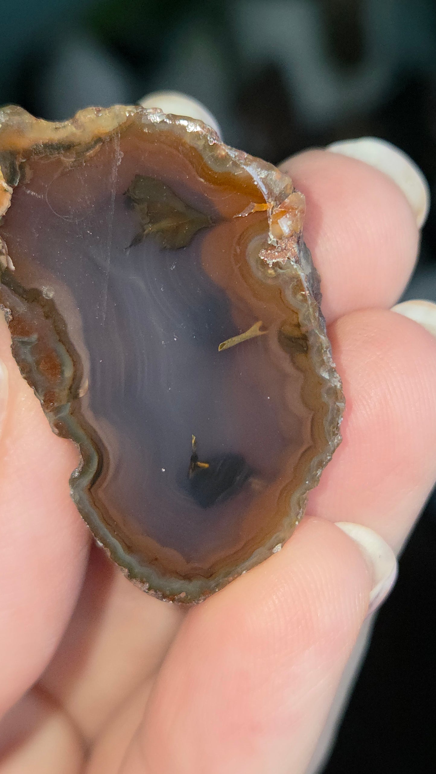 Coyamito Agate Geodes from Mexico