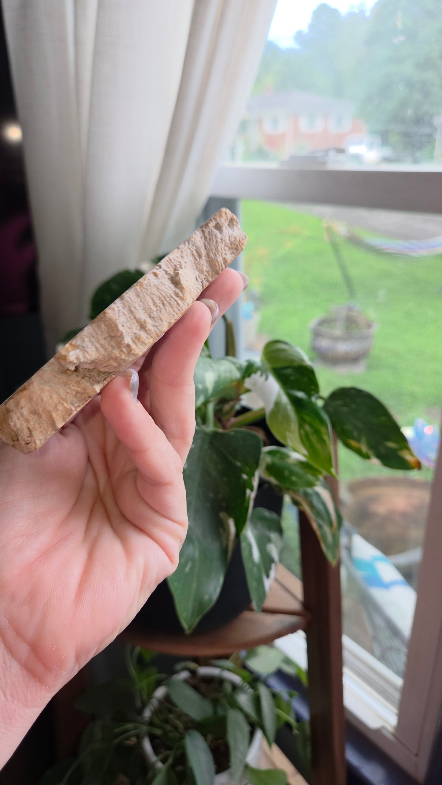 Petrified Wood Sphere Holder (15a)