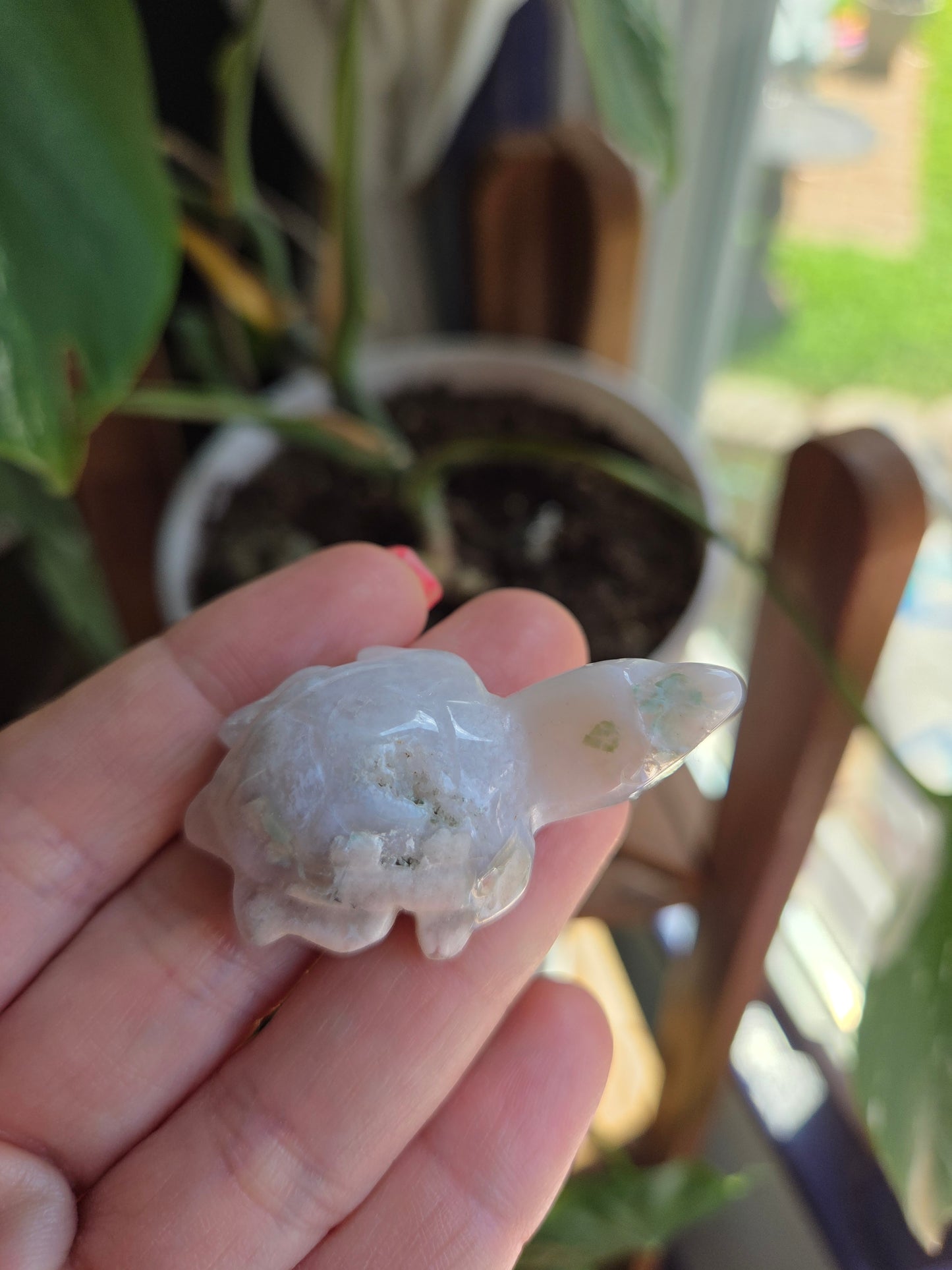 Black Flower Agate Turtle
