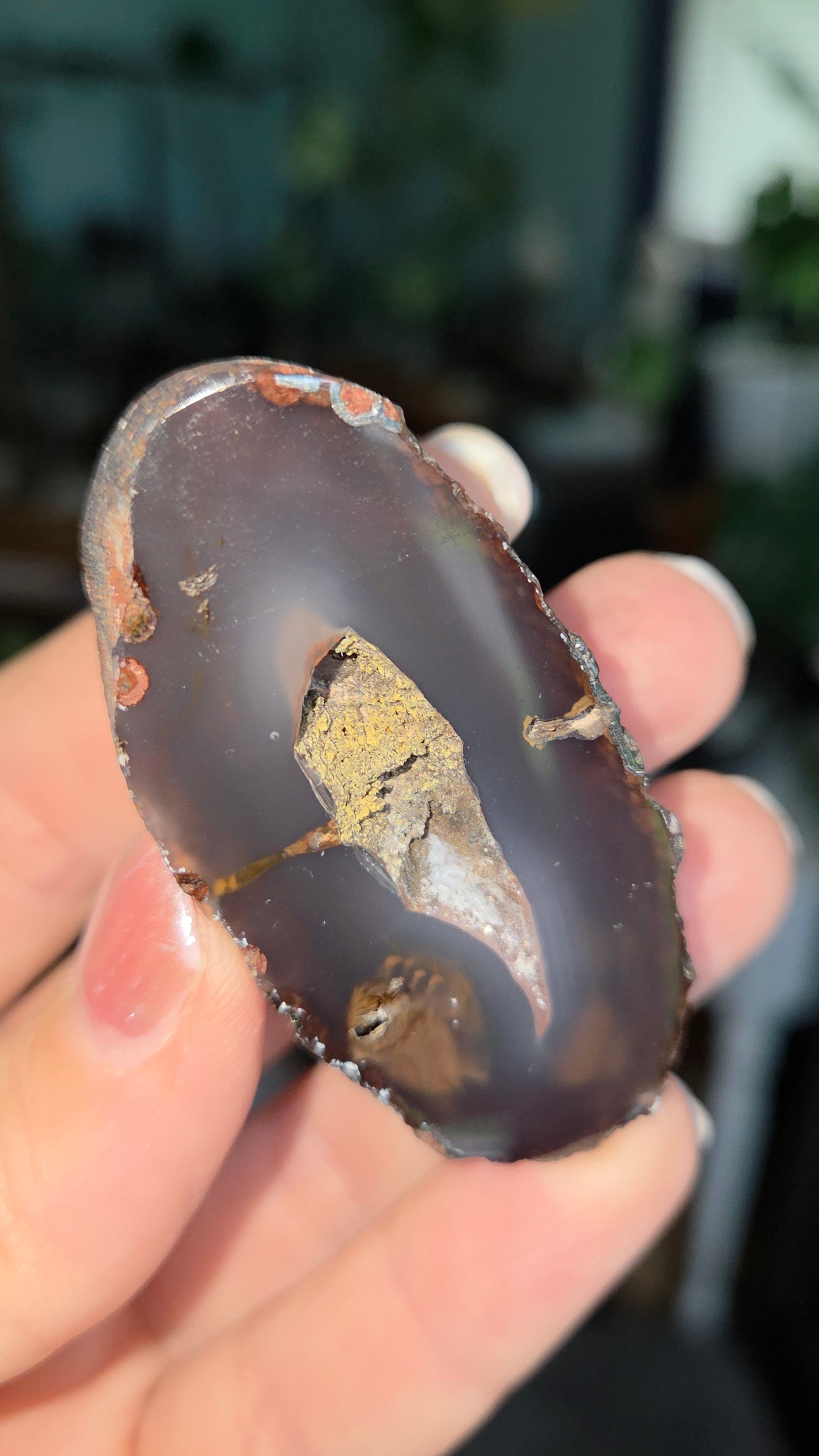Coyamito Agate Geodes from Mexico