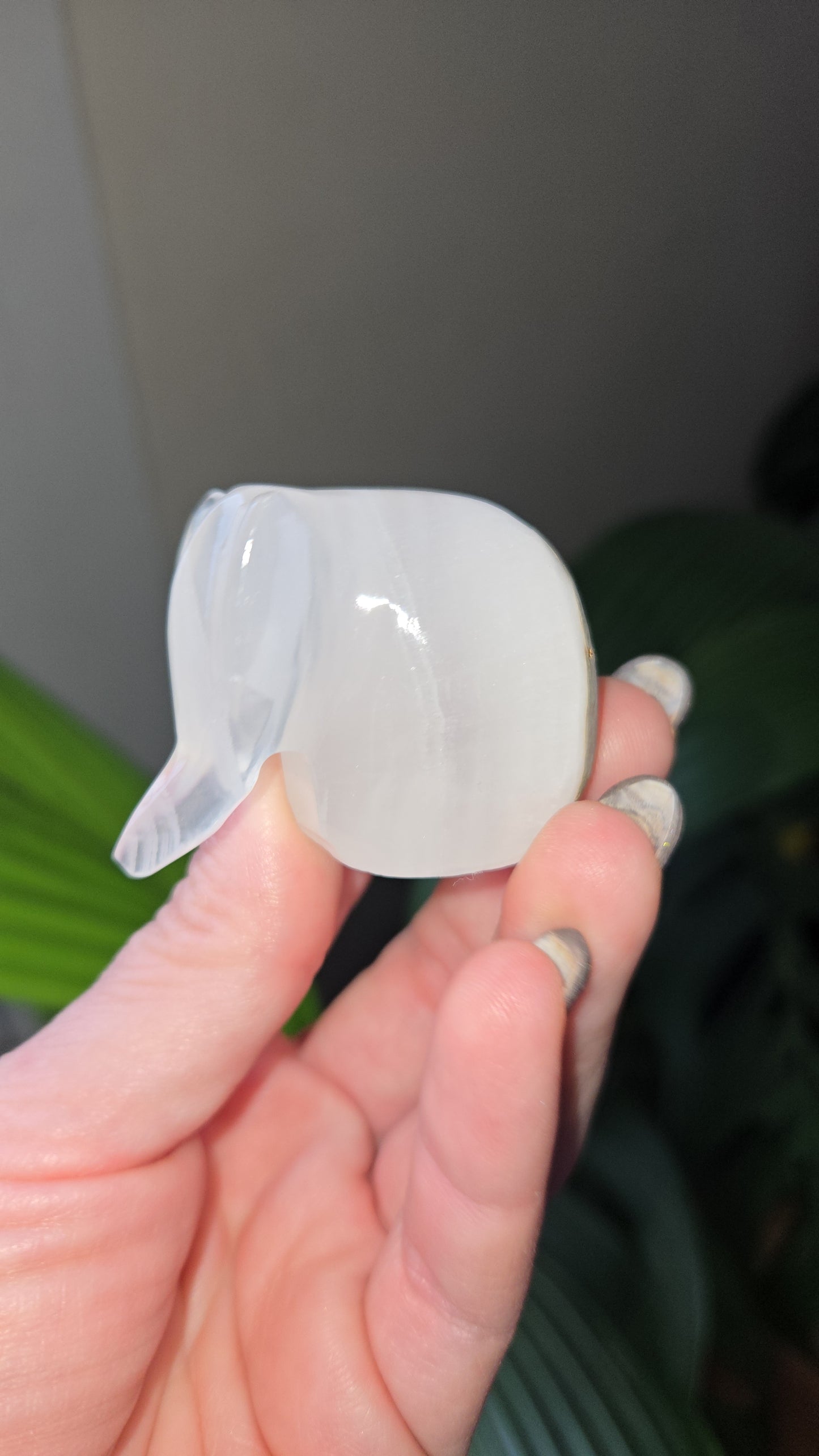 Onyx Elephant