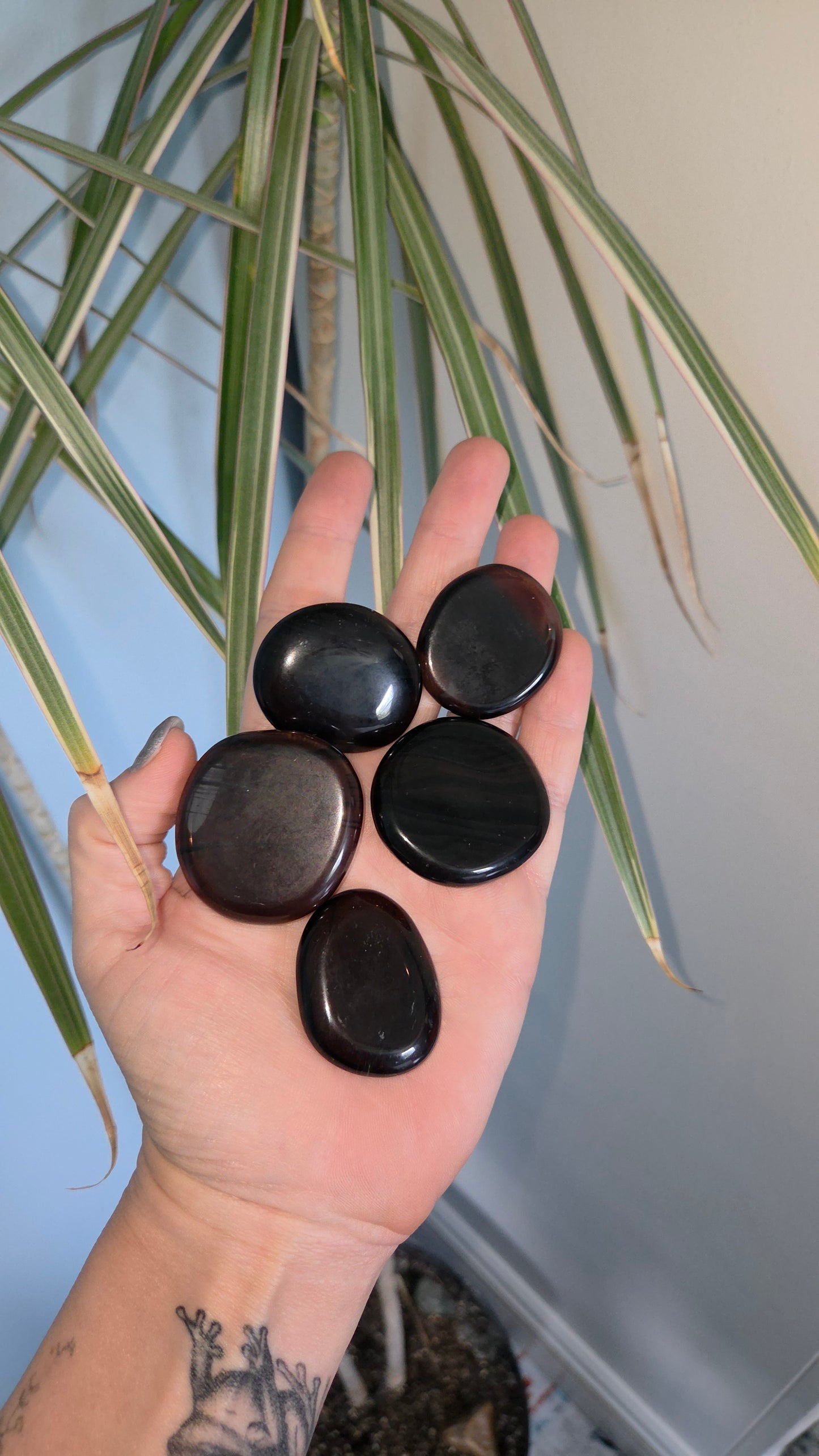 Black Lace Obsidian Mini Polished Slabs / Palms