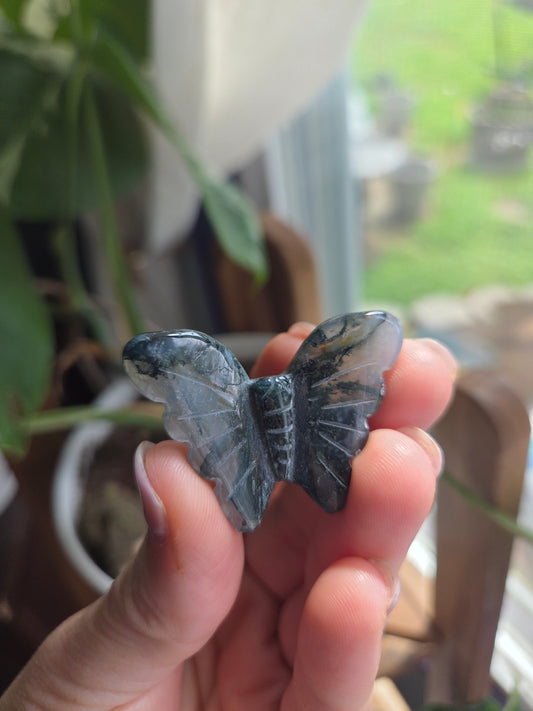 Jaderbug