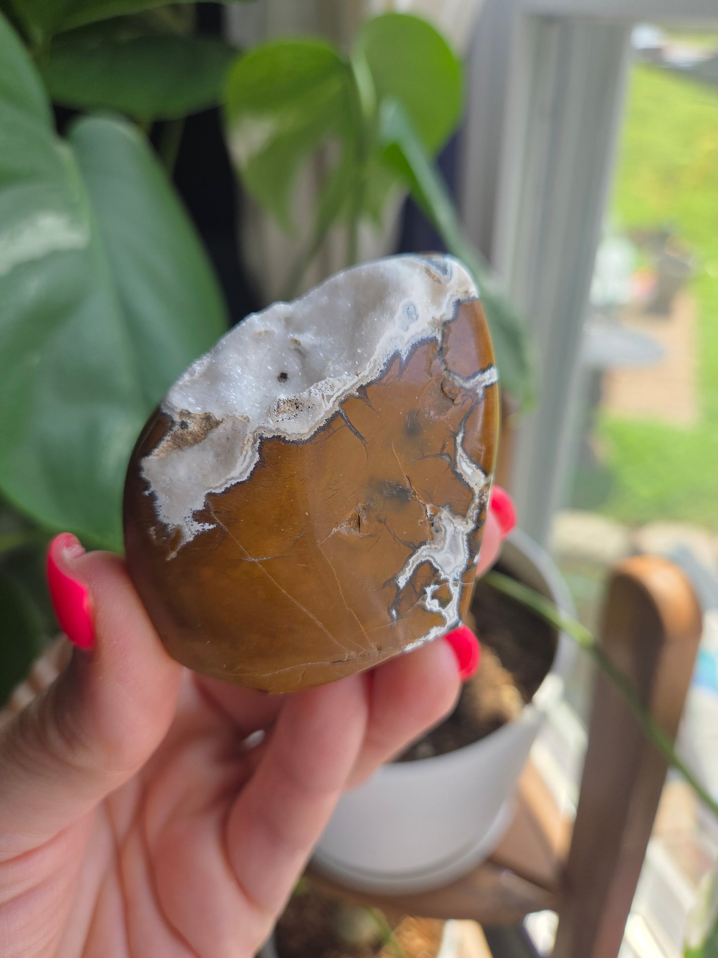 Brecciated Jasper Freeform