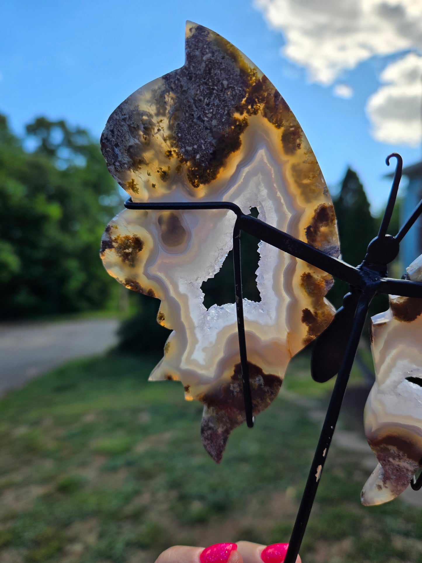 Scenic Moss Butterfly Wings 🦋