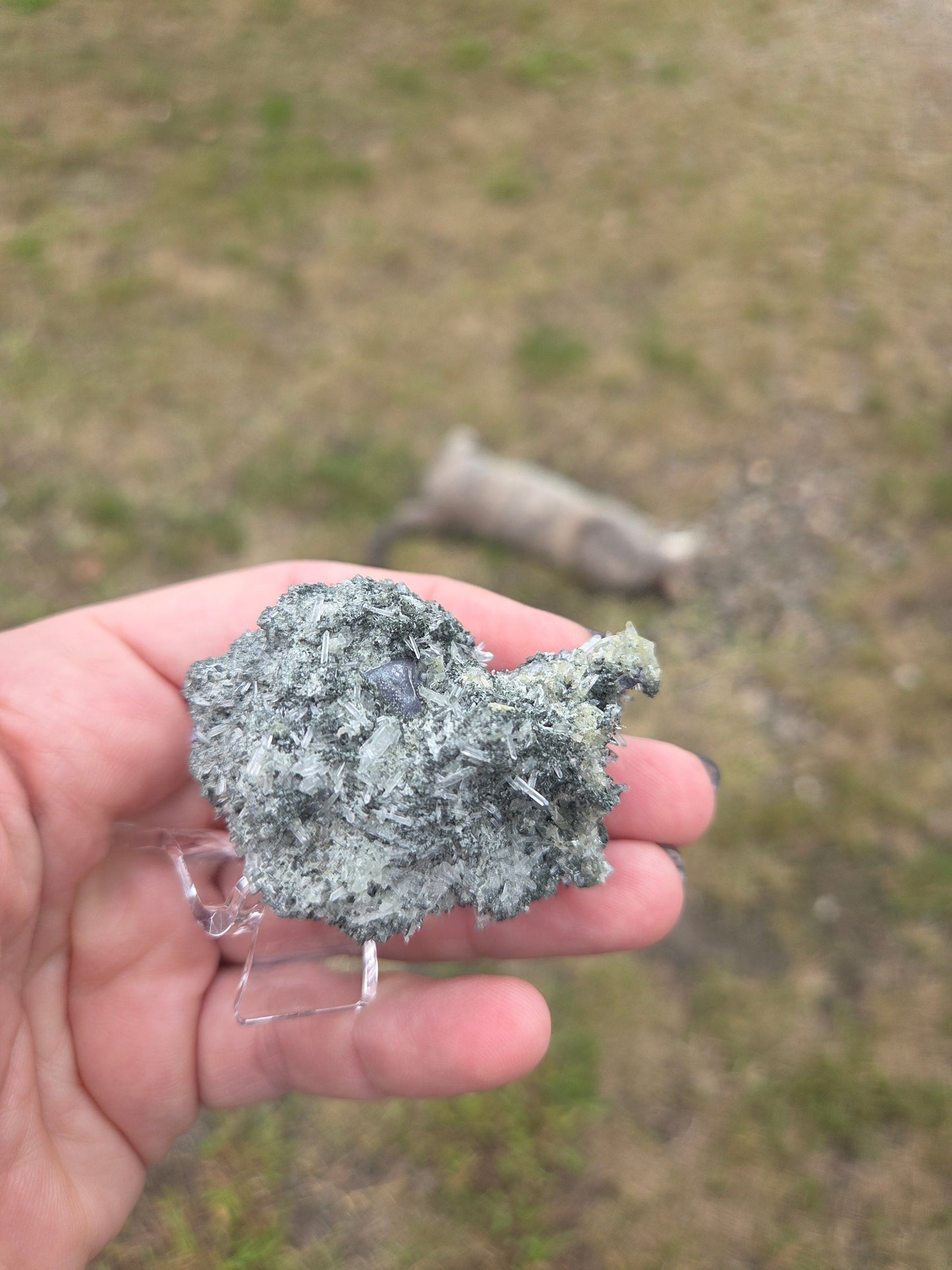 Comment to Claim Jenn-Jenn