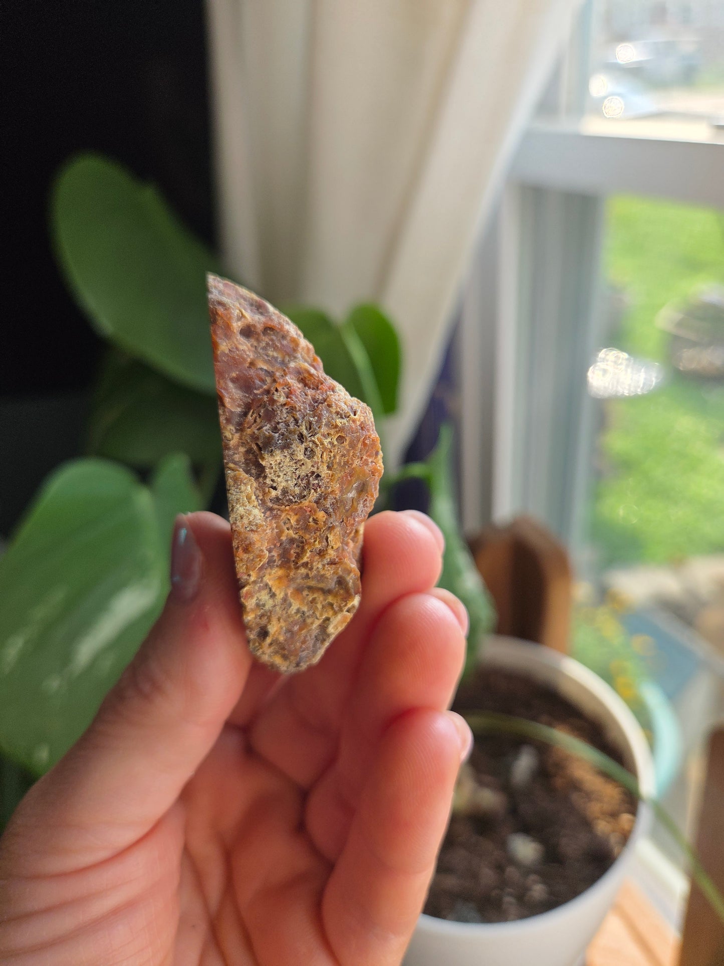 Laguna Agate
