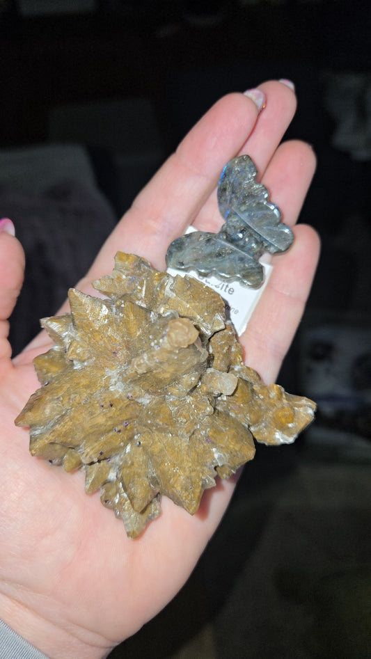 ZComment to Claim NK