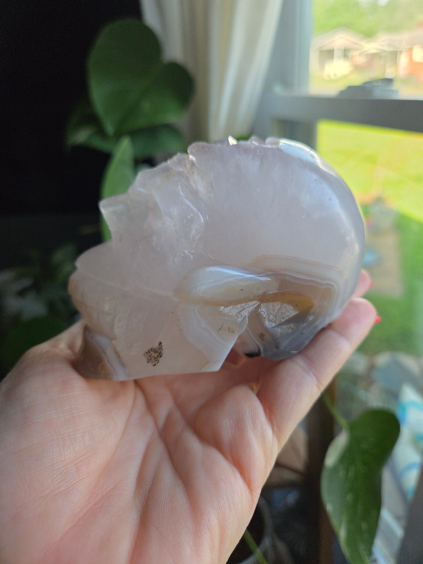 Dendritic Agate with Amethyst Skull