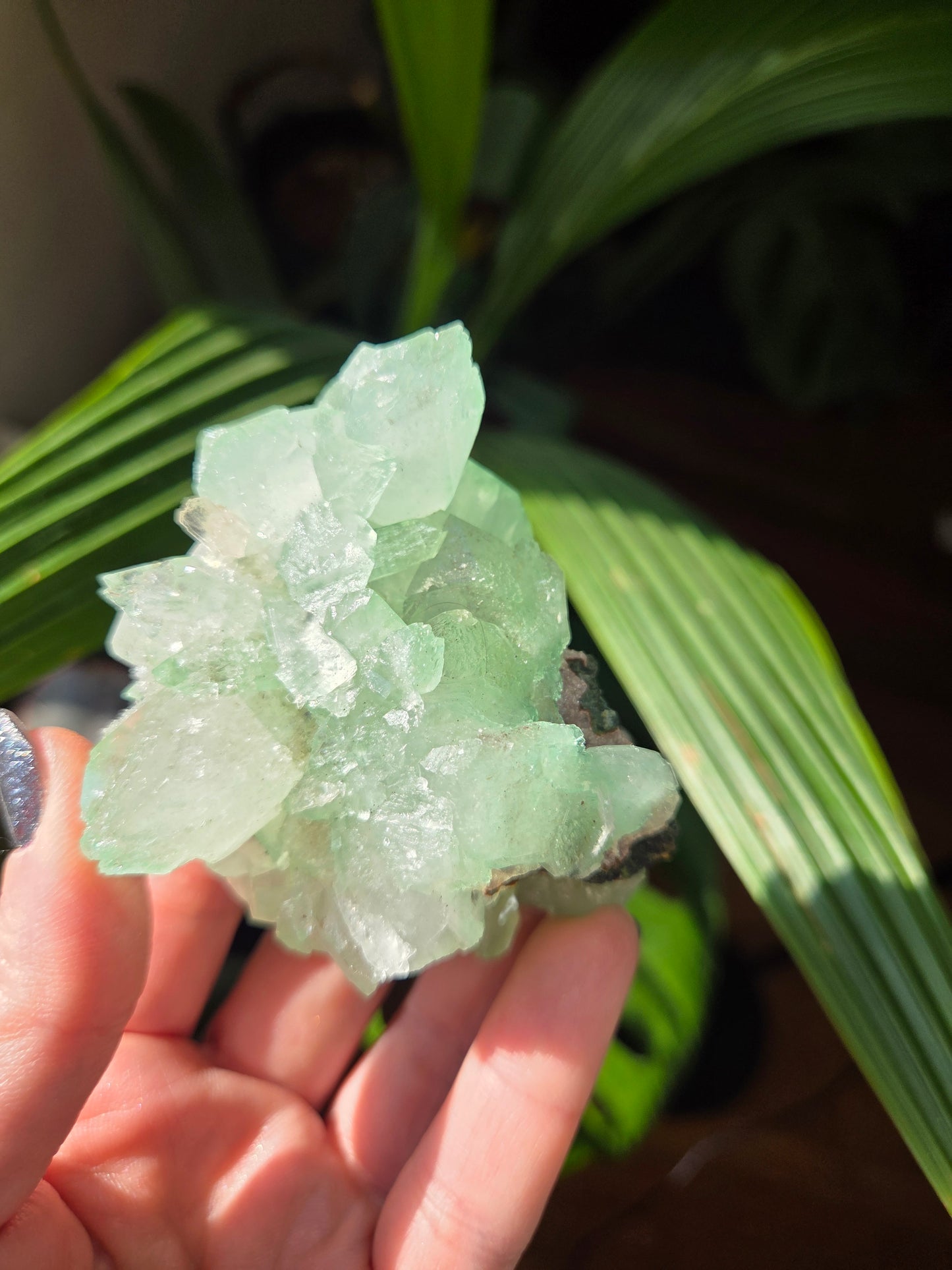 Green Apophyllite With Pink Druzy Chalcedony