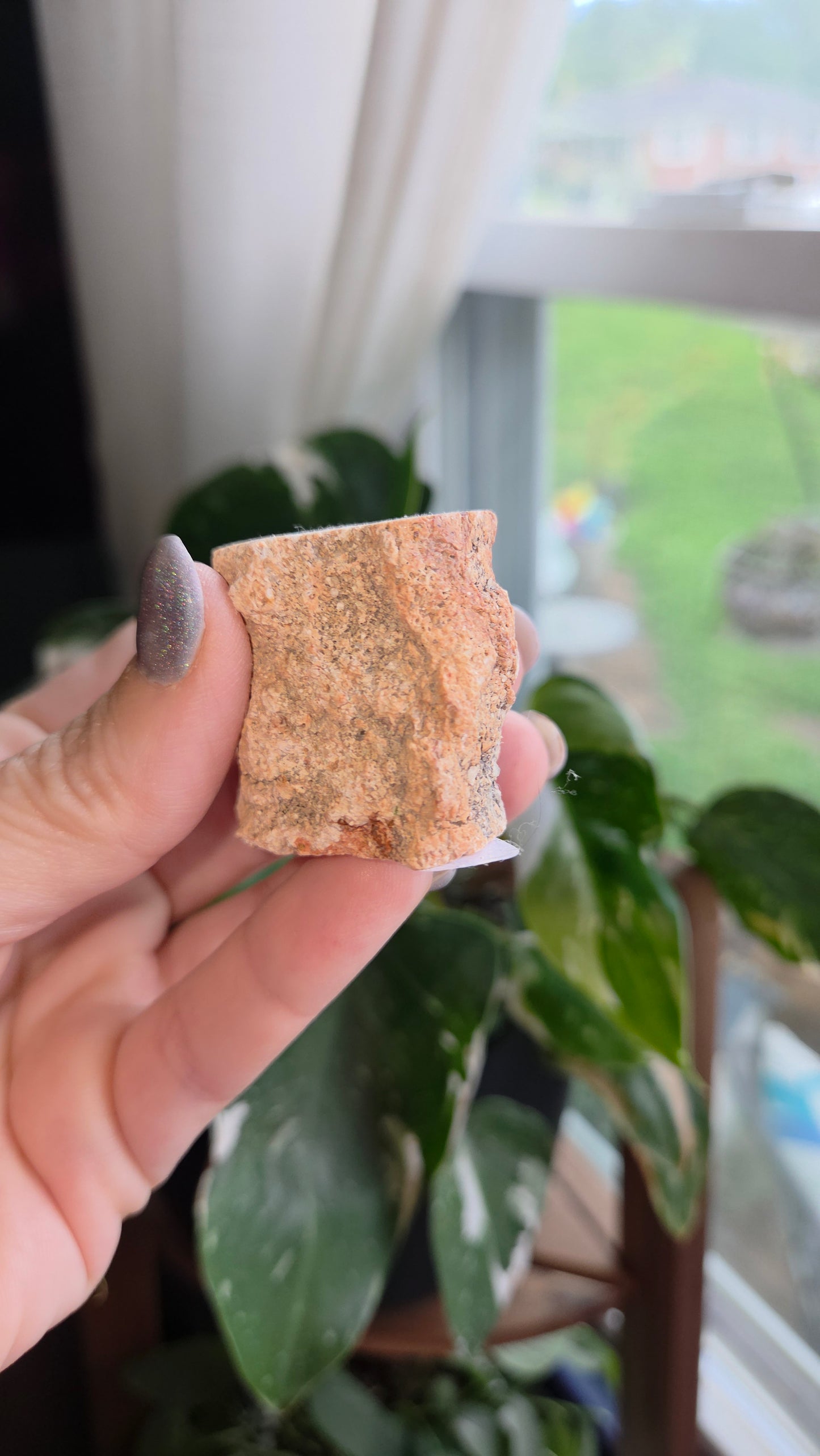 Petrified Wood Log (8f)