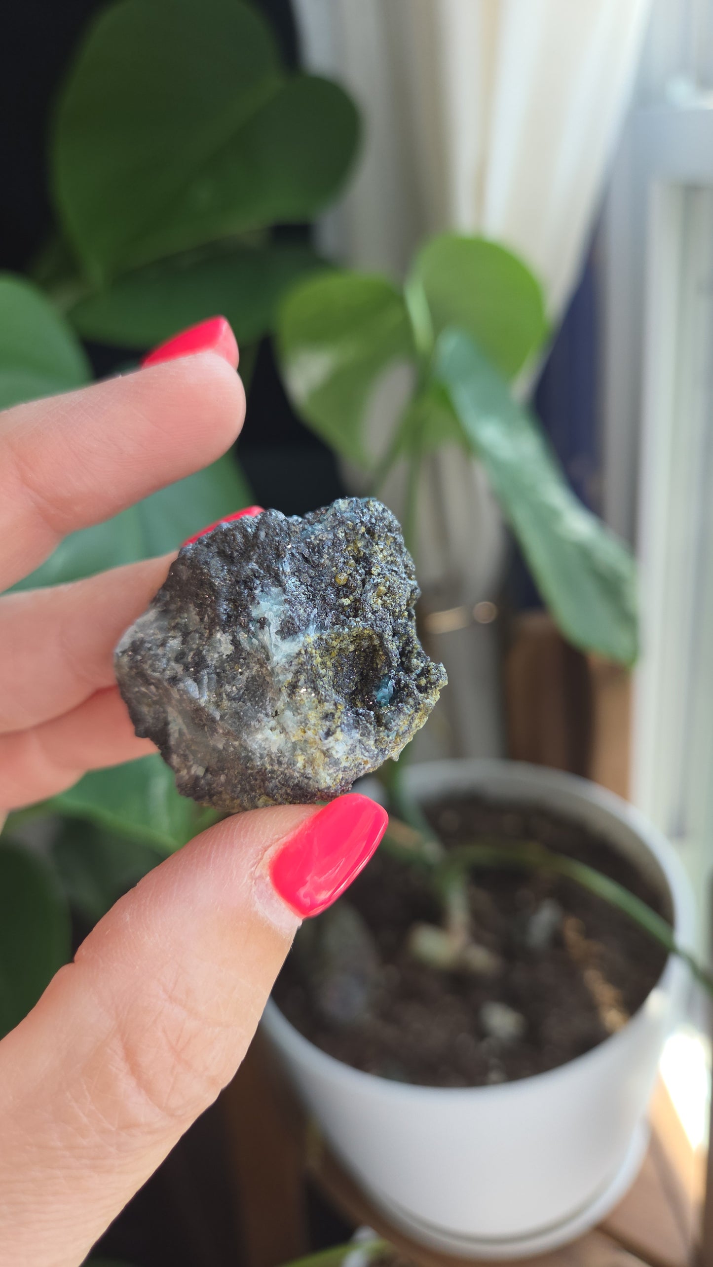 Borcarite