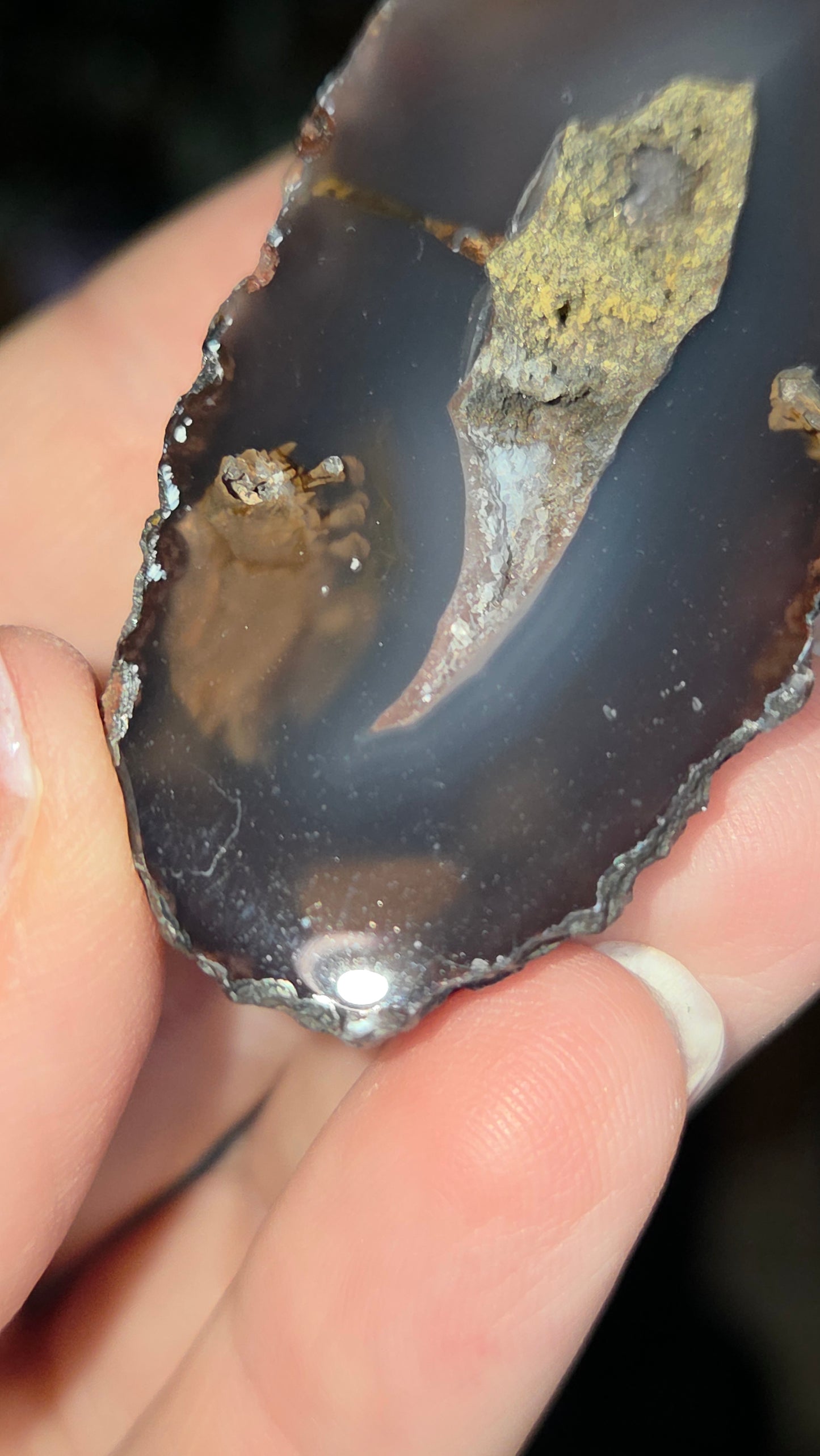 Coyamito Agate Geodes from Mexico