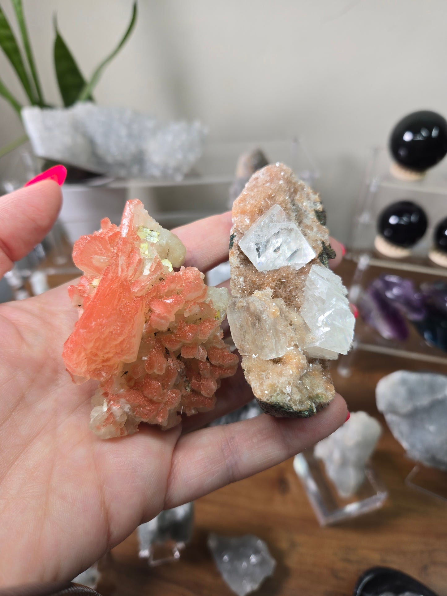 Live sale Jenn-Jenn 2 of 7