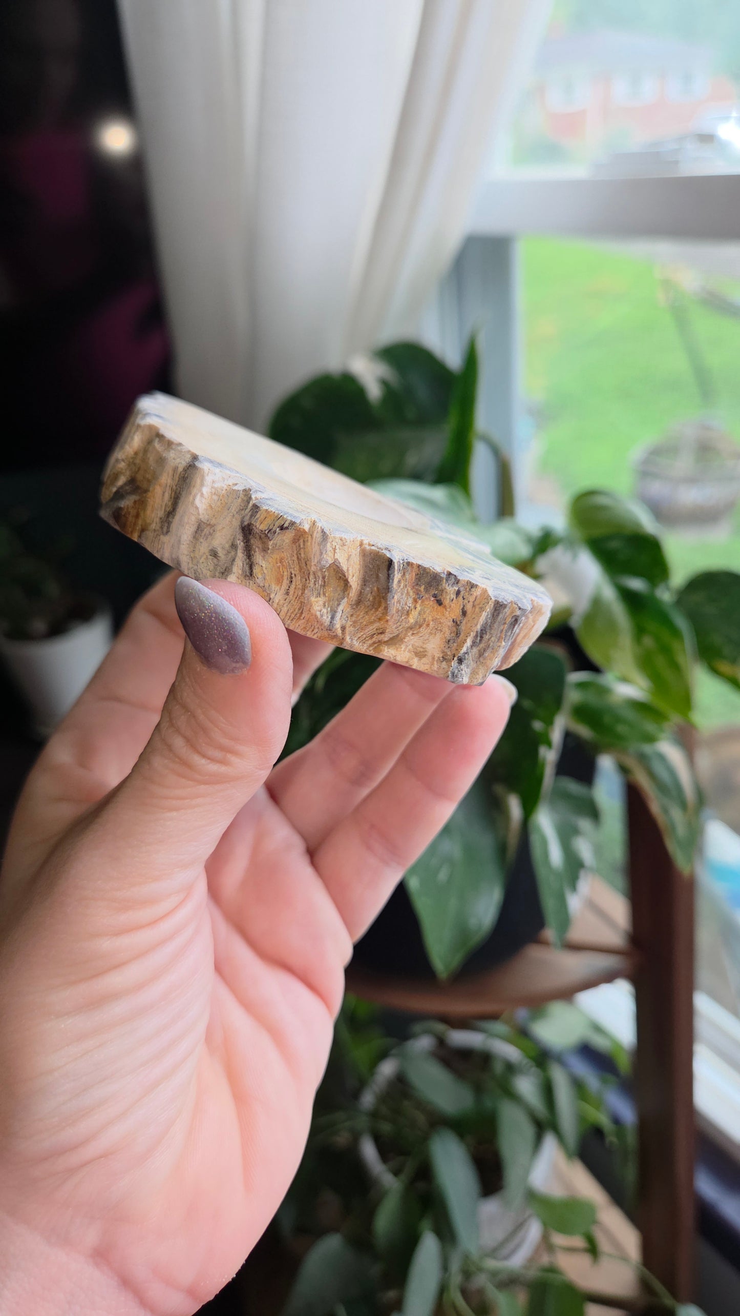 Petrified Wood Sphere Holder (12e)