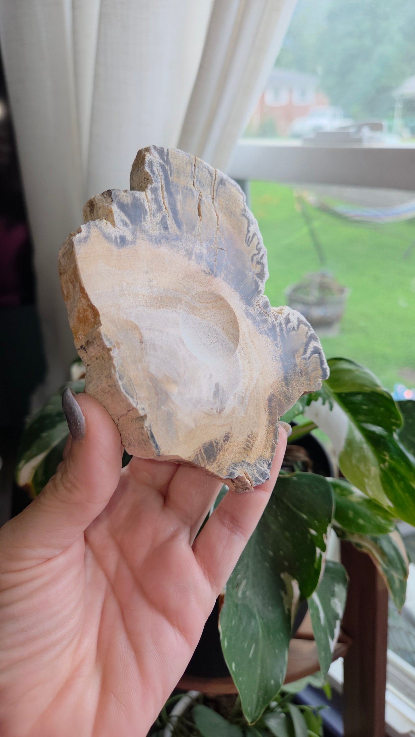 Petrified Wood Sphere Holder (15b)