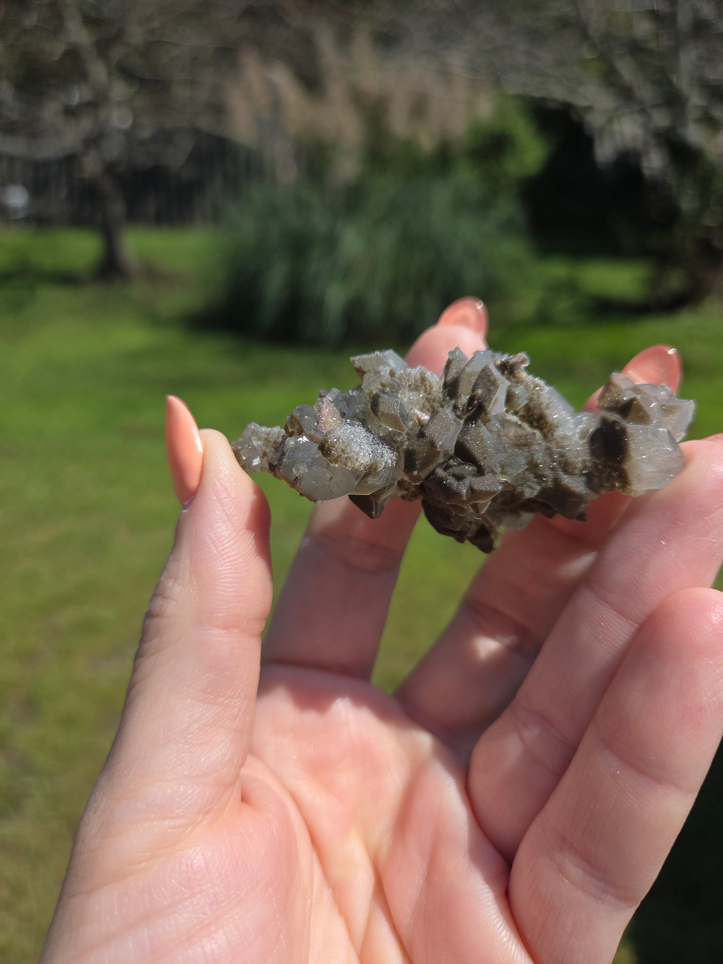 Comment to Claim thestarr141