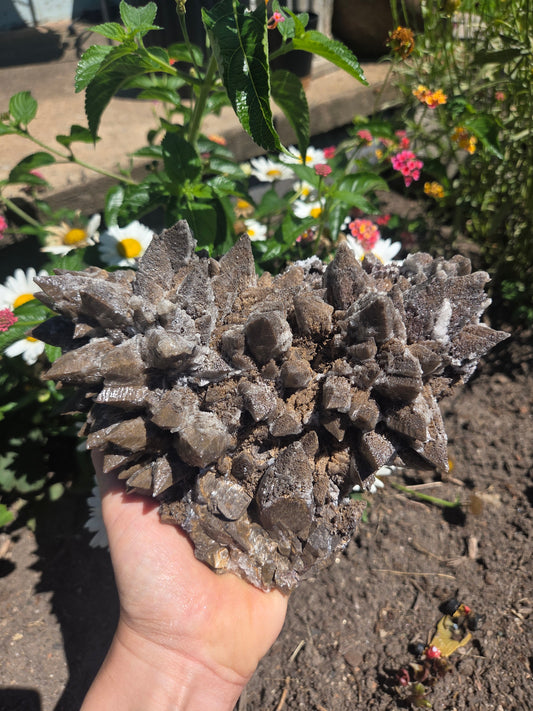 Dogtooth Calcite with Secondary Selenite Coating (Mexico)