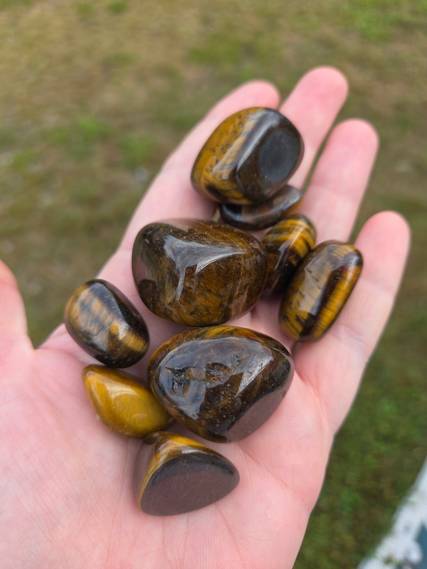 Tigers Eye Tumble