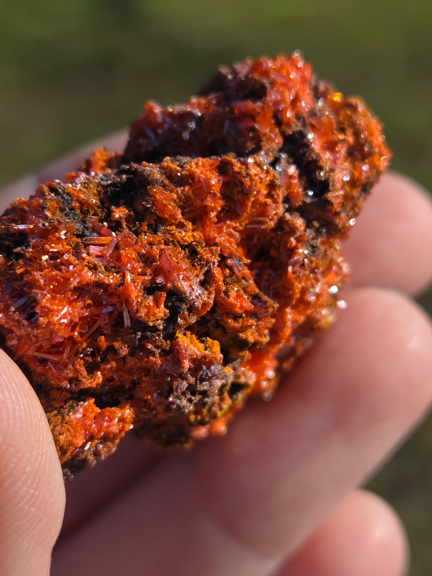 Crocoite (Tasmania, Australia)