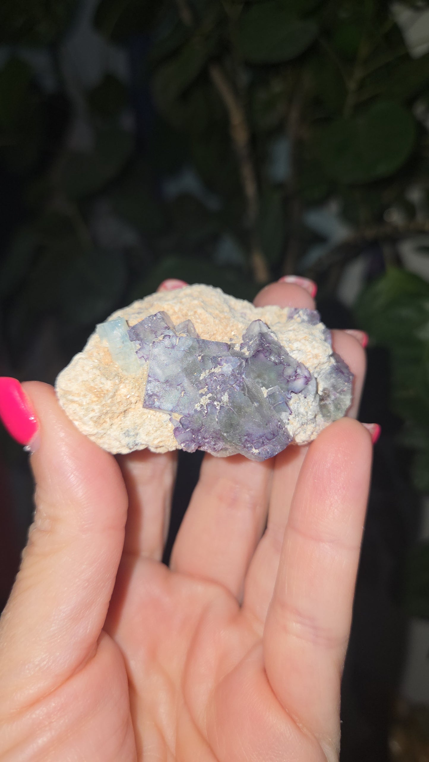 Heather loves rocks
