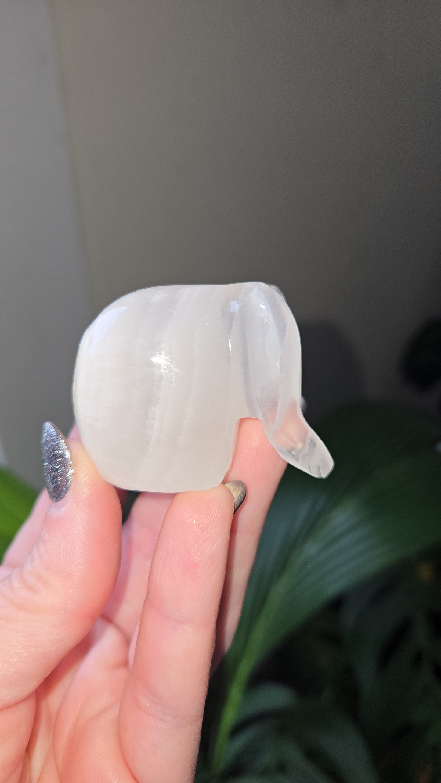 Onyx Elephant