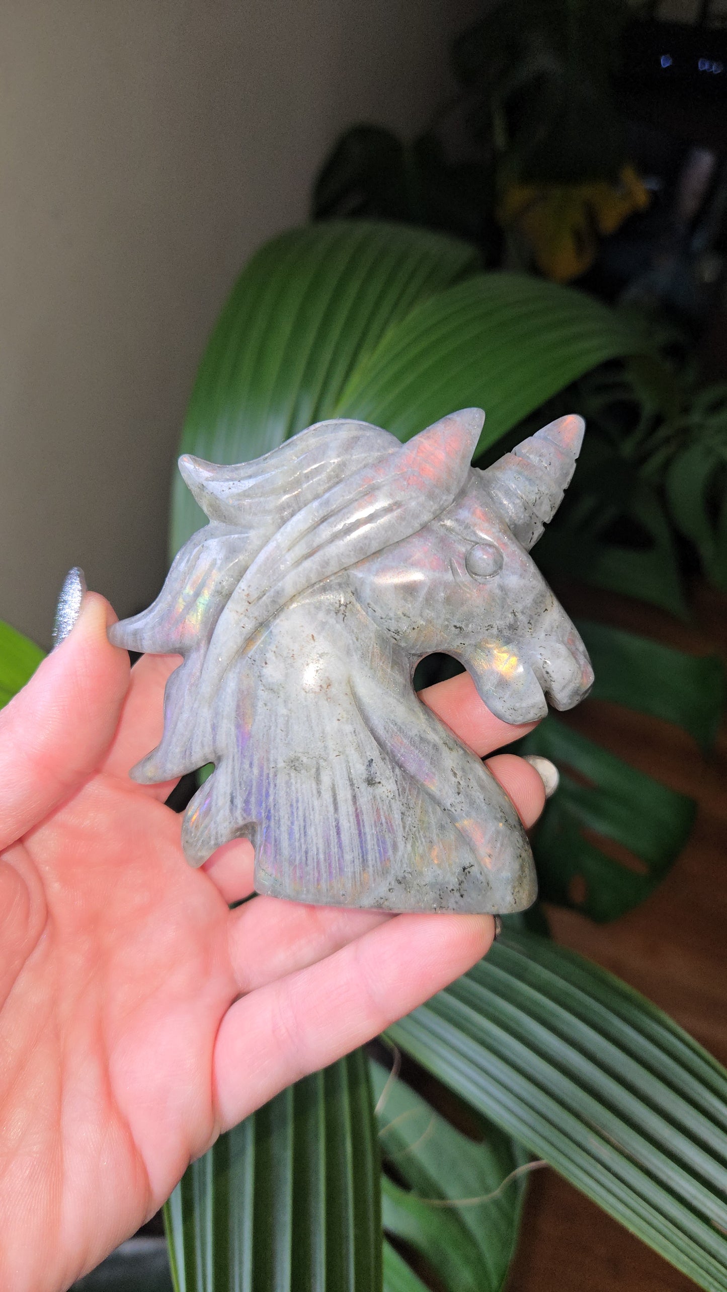 Lab Unicorn Carving 🦄