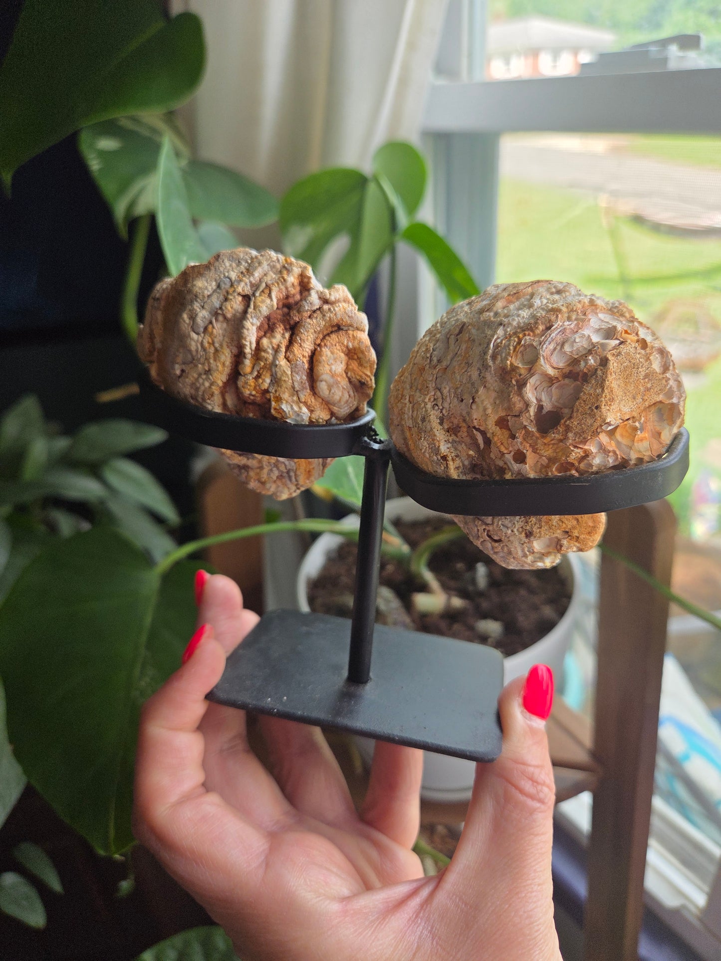 Butterfly Geode