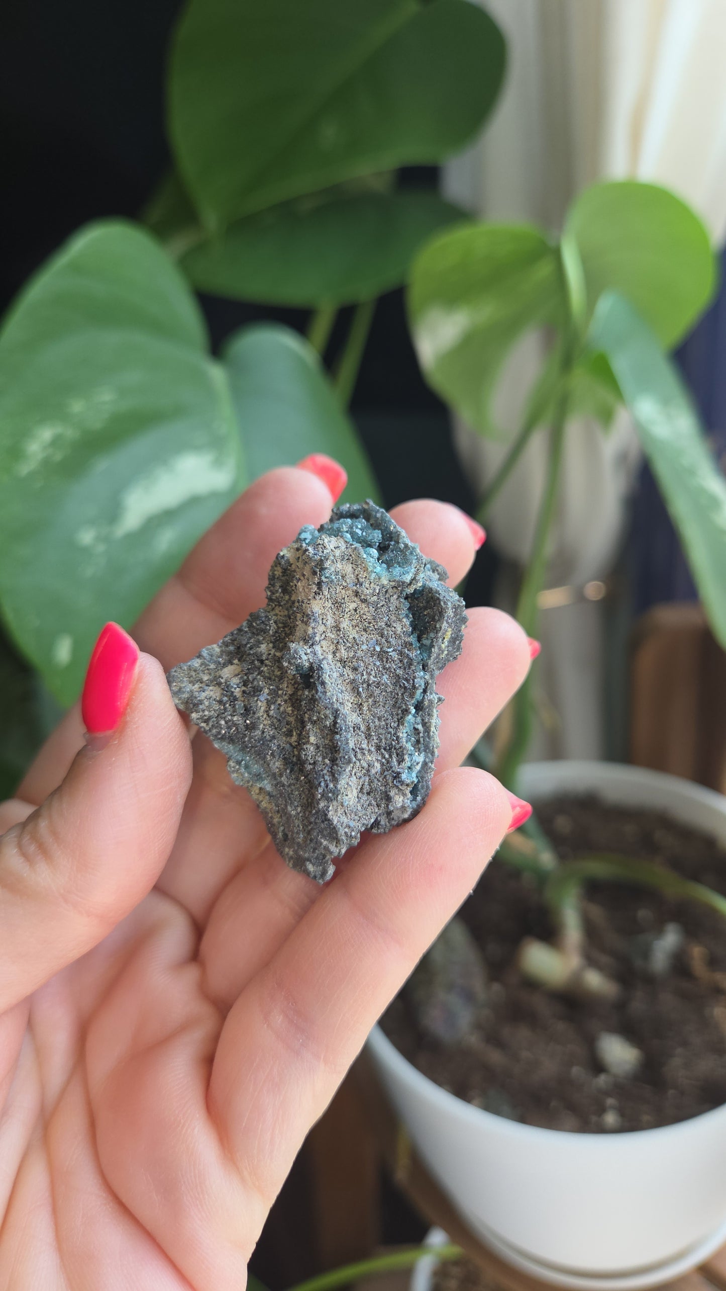Borcarite