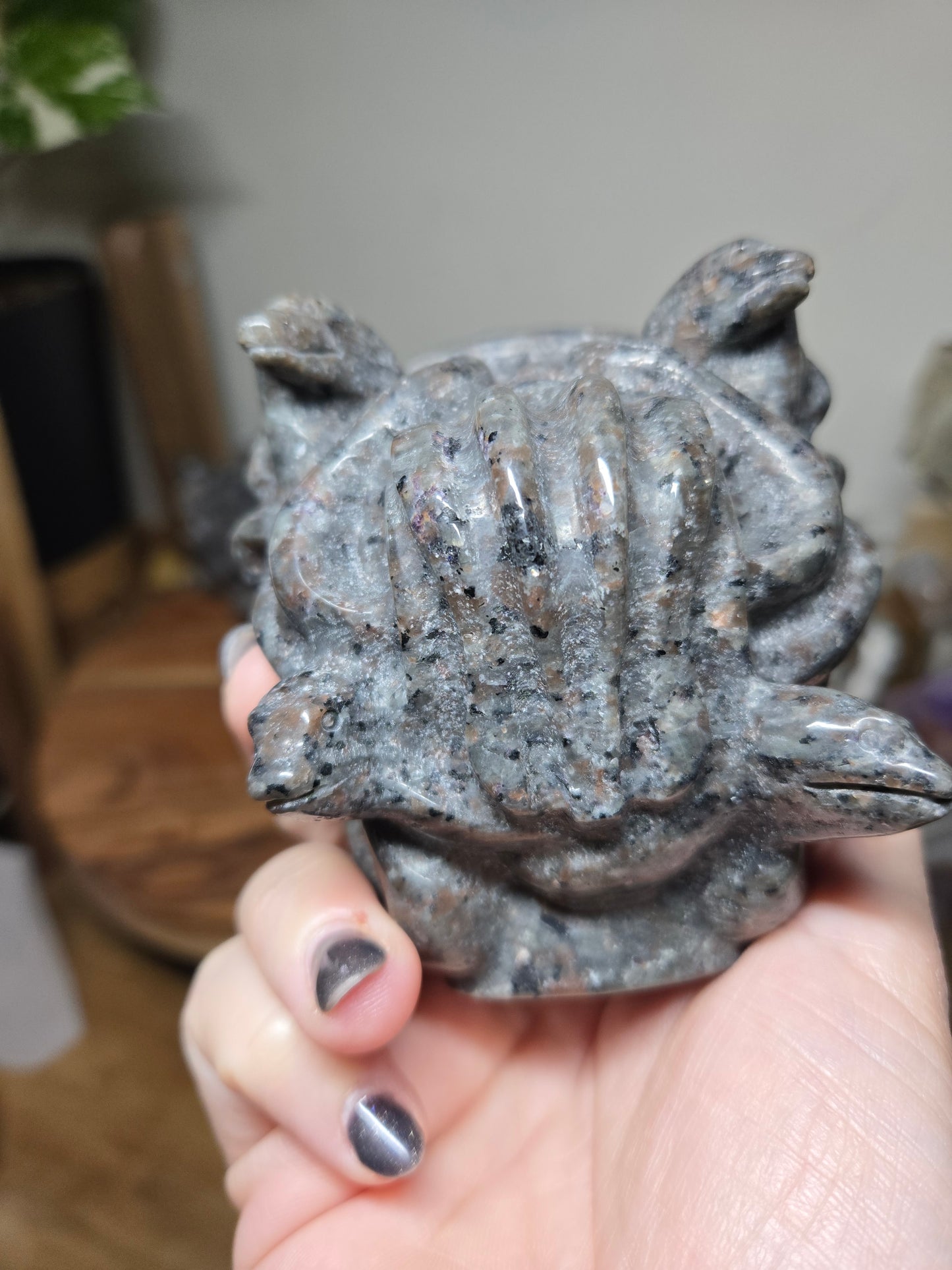 Medusa Head Yooperlite