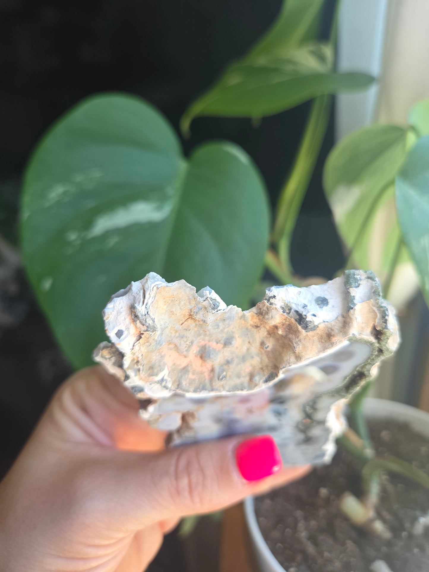 OJ slab (8th vein)