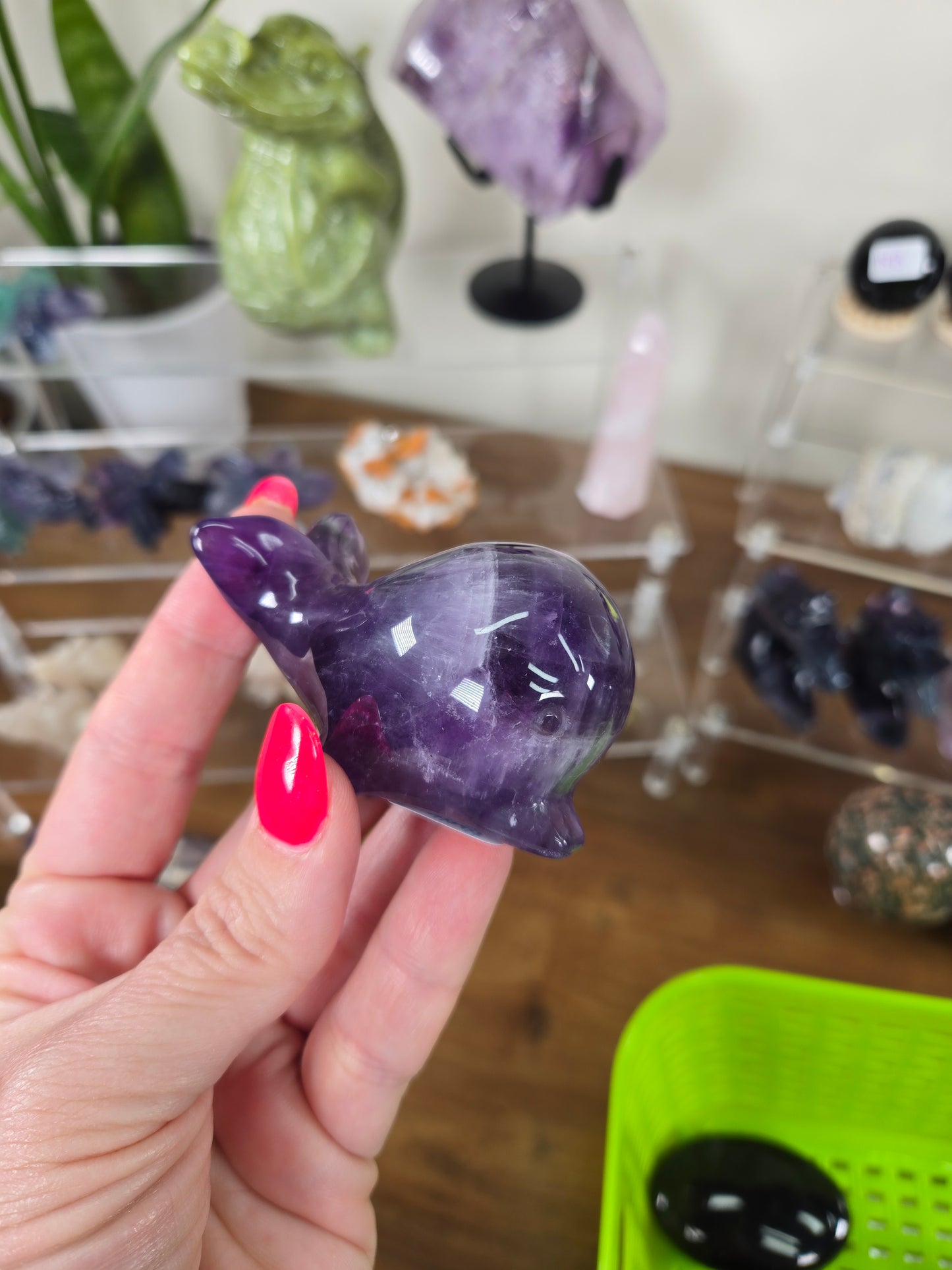 Live Sale thestarr141