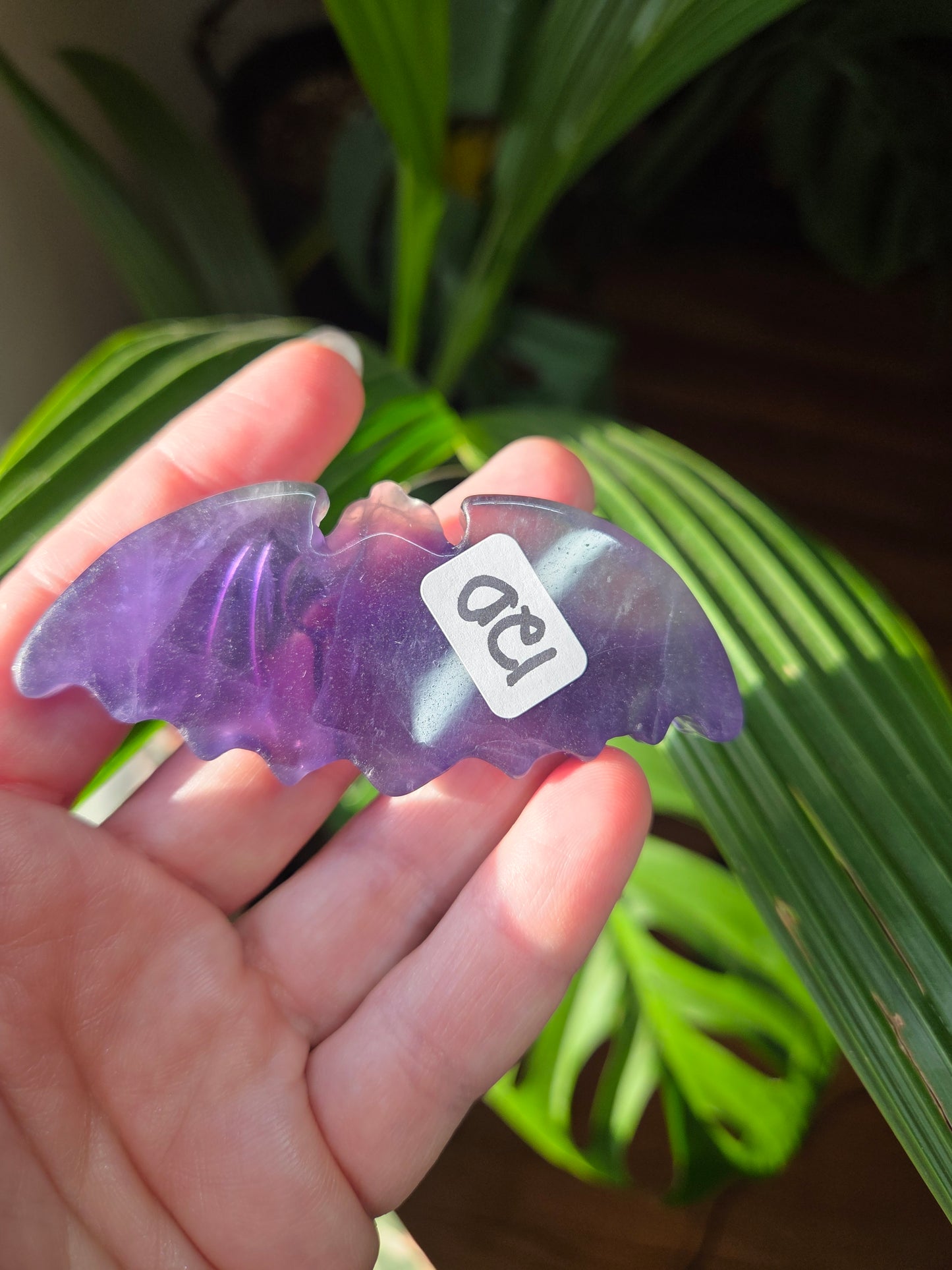 Fluorite Bat