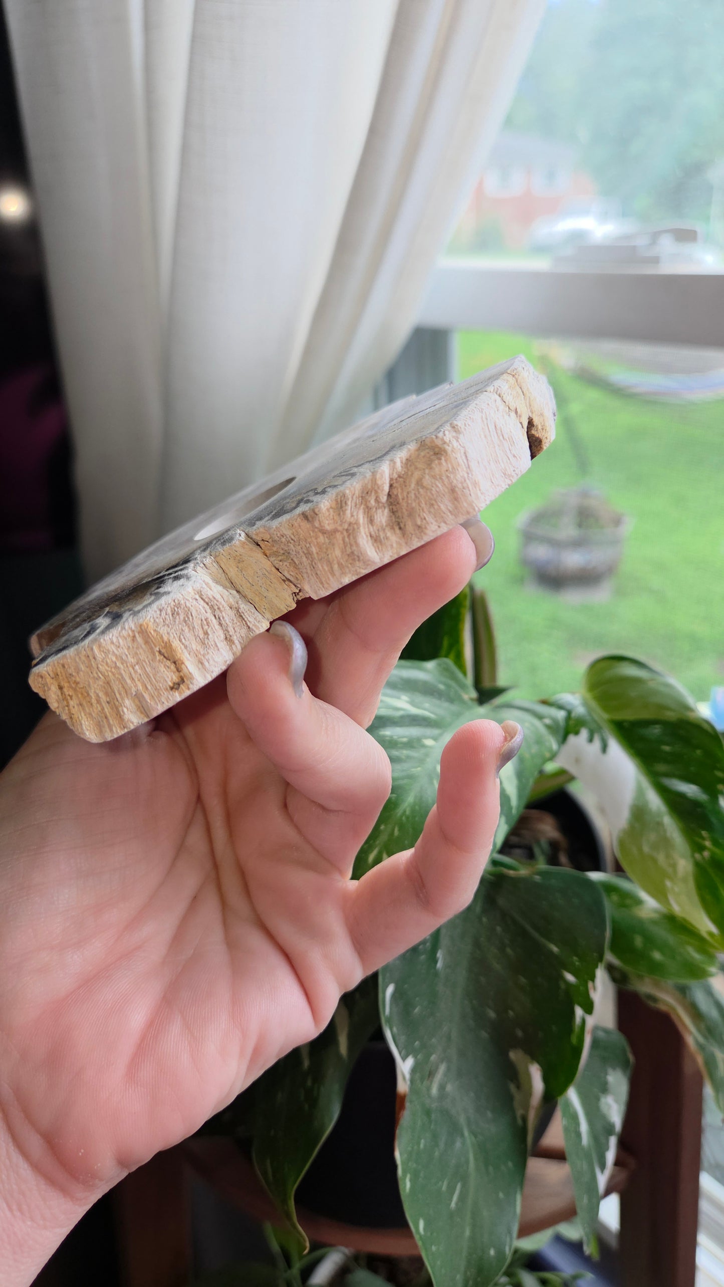 Petrified Wood Sphere Holder (15b)