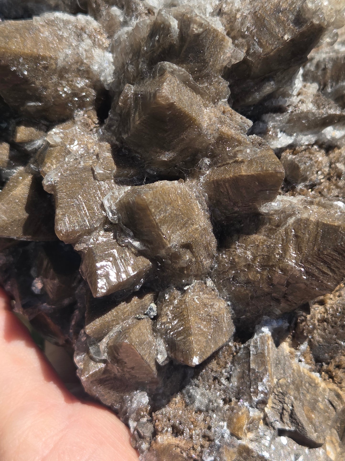 Dogtooth Calcite with Secondary Selenite Coating (Mexico)