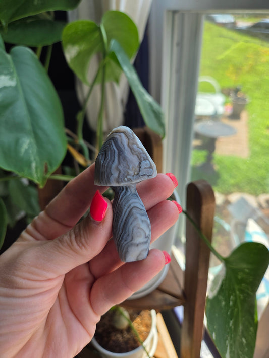 Gobi Agate Mushroom
