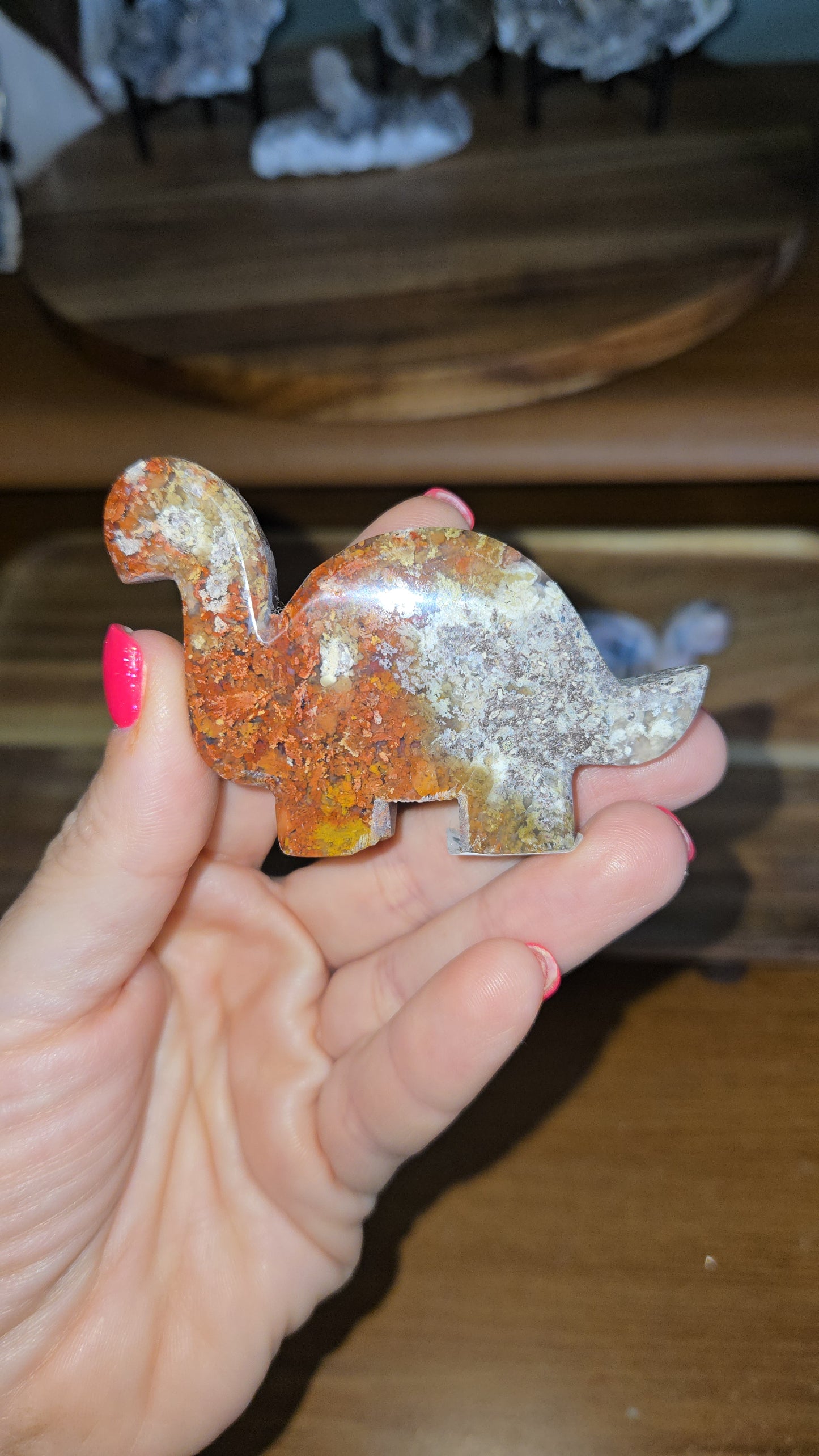 Dinosaur 🦕
