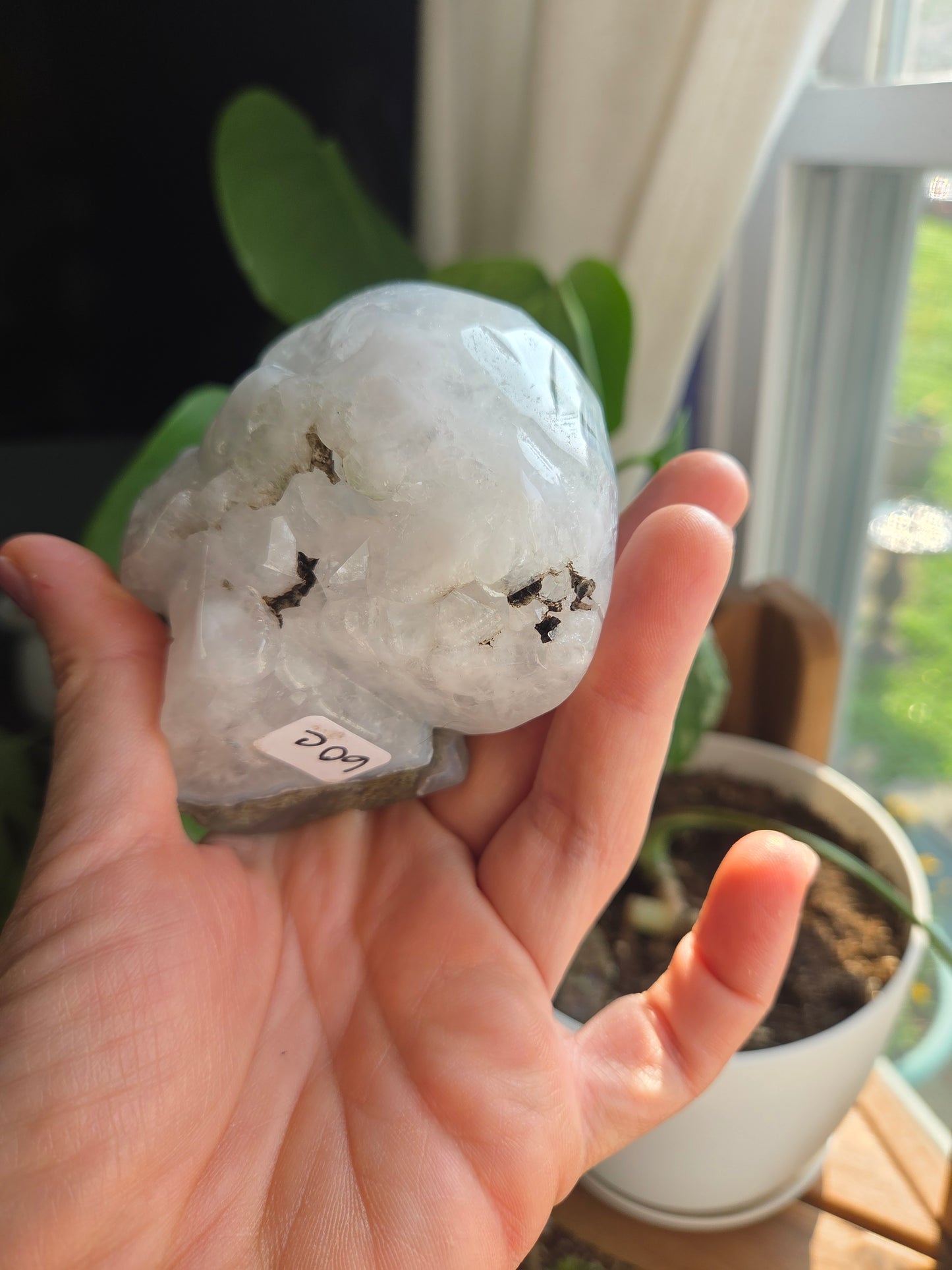 Moss Skull