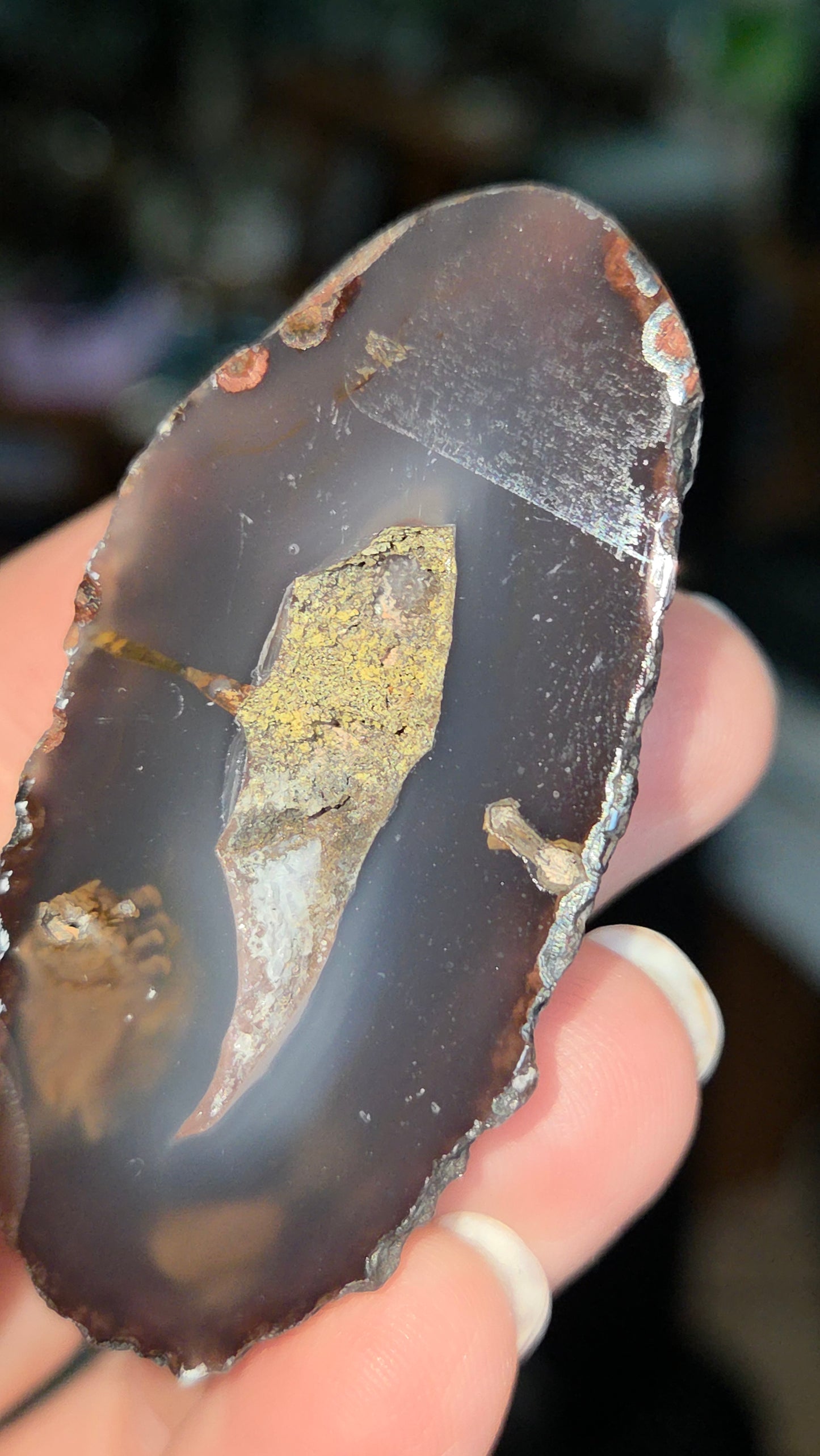 Coyamito Agate Geodes from Mexico