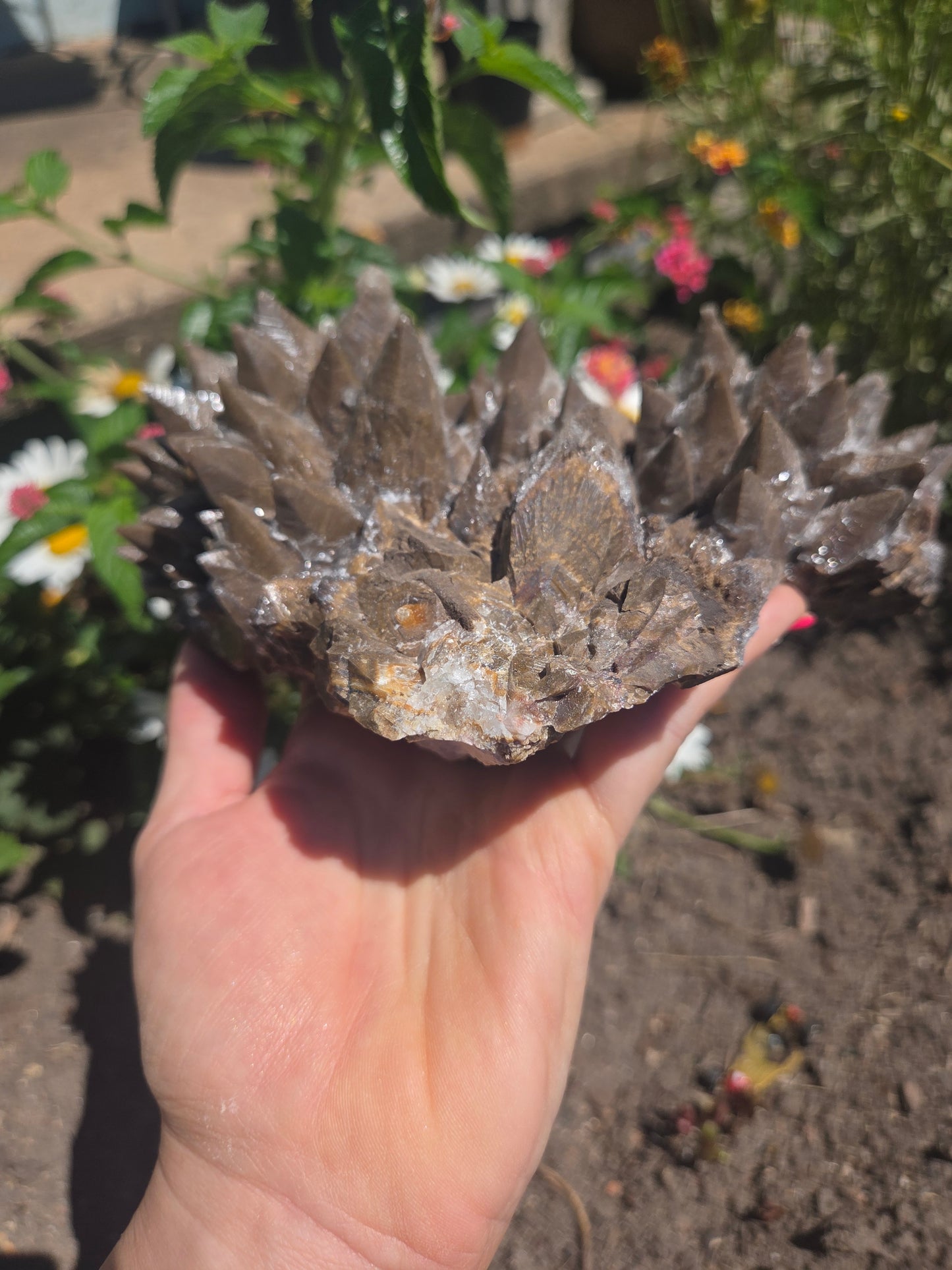 Dogtooth Calcite with Secondary Selenite Coating (Mexico)