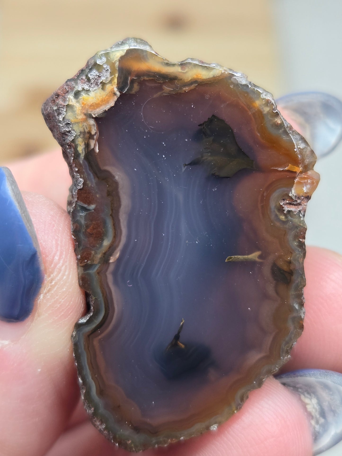 Coyamito Agates (Mexico)
