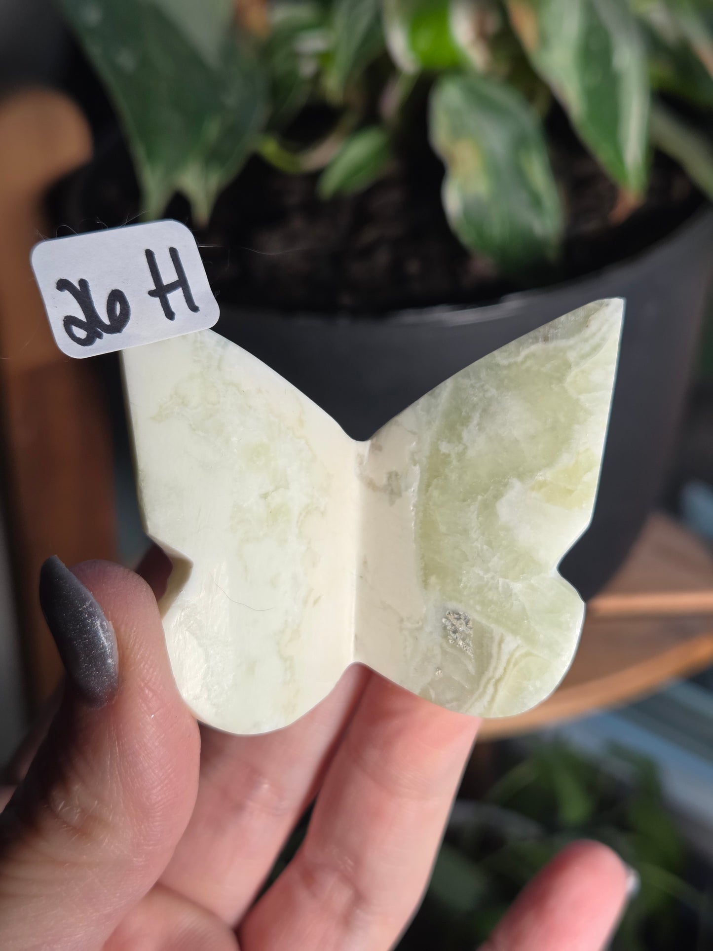 3D Green Maligano Butterfly
