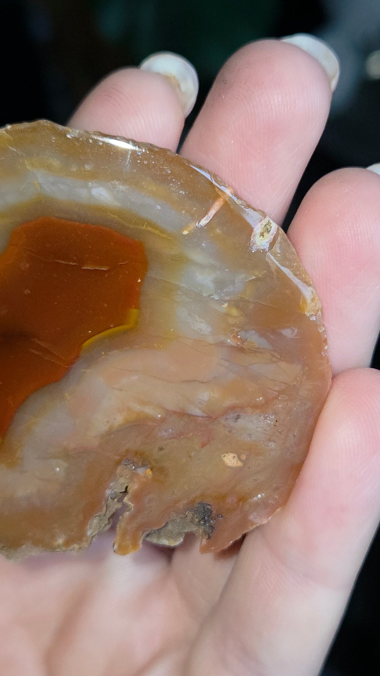 Coyamito Agate Geodes from Mexico