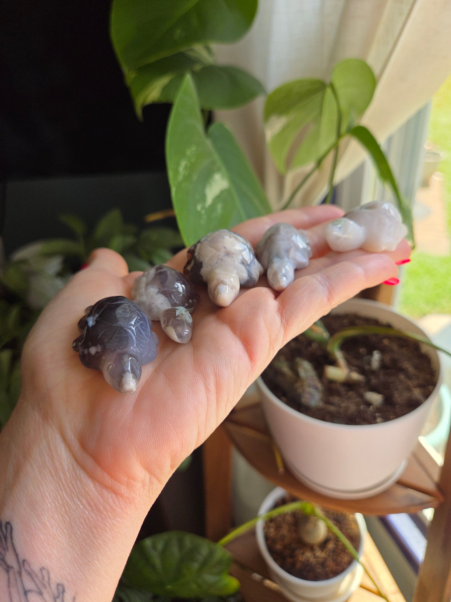 Black Flower Agate Turtle