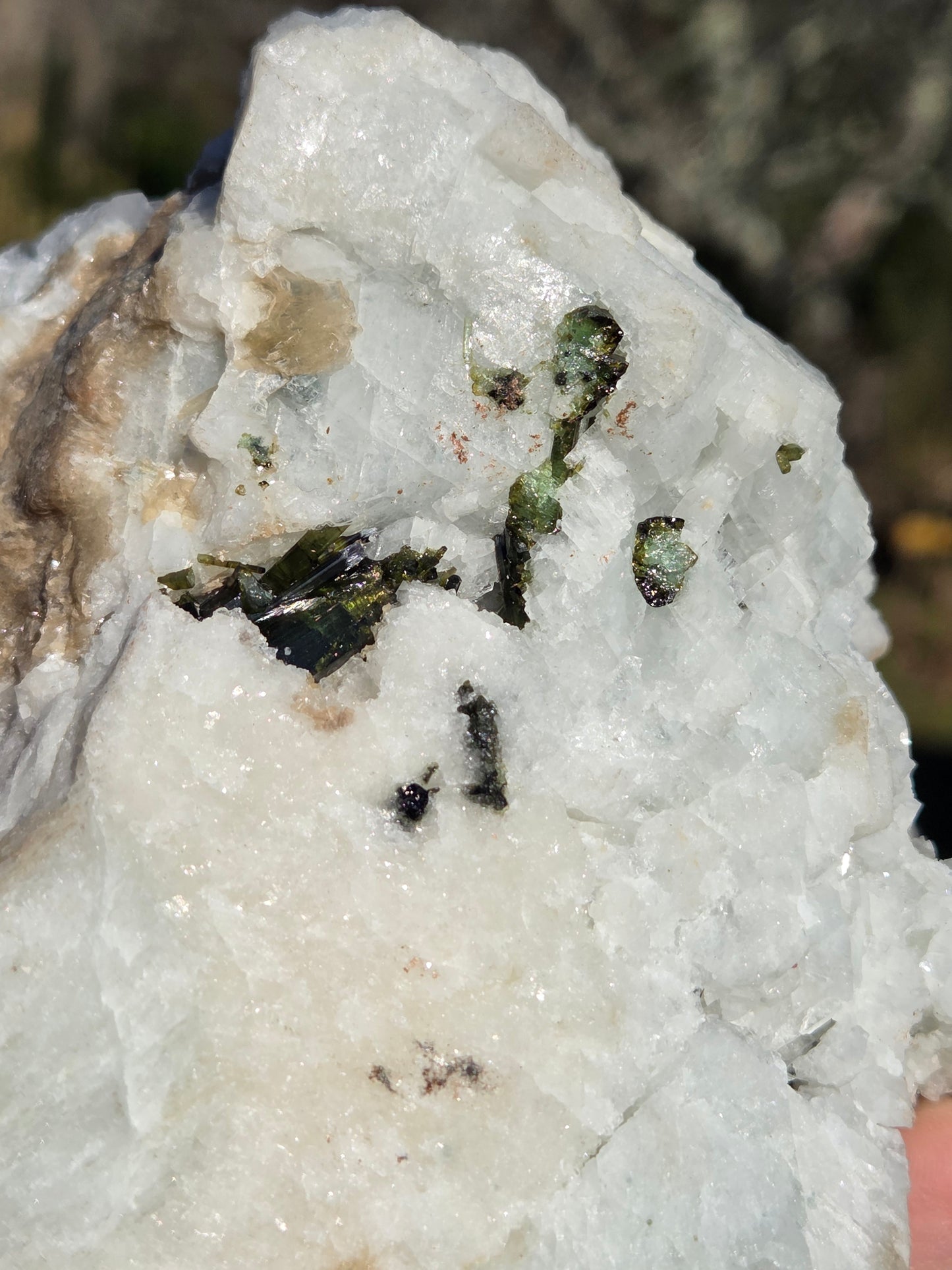 Green Tourmaline and Aqua in Albite