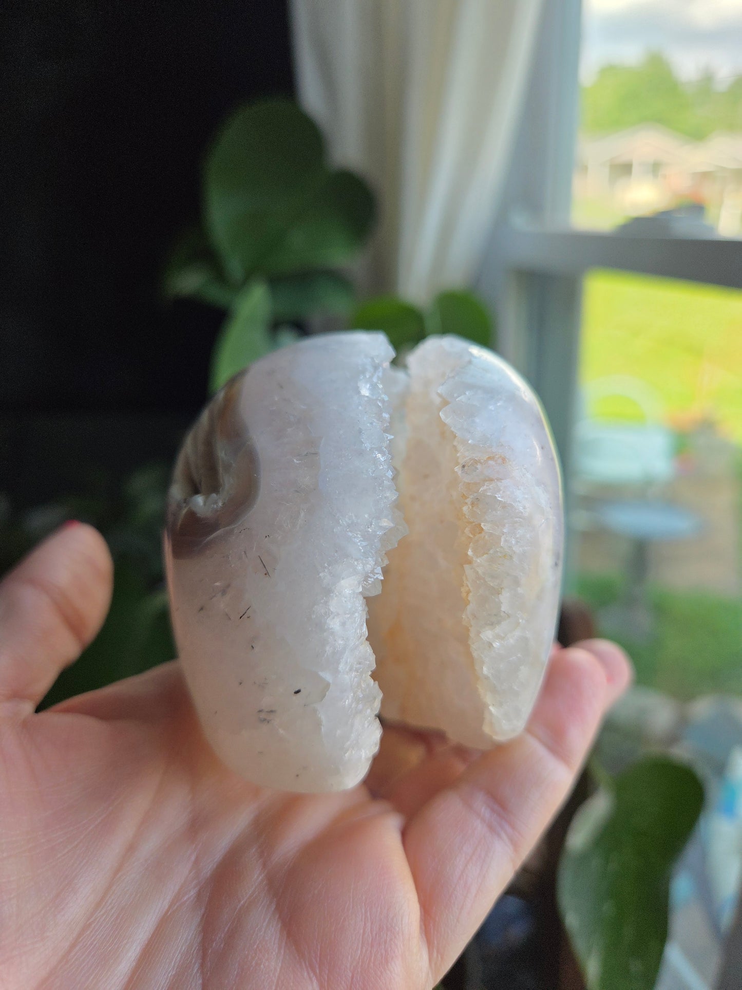 Dendritic Agate Skull