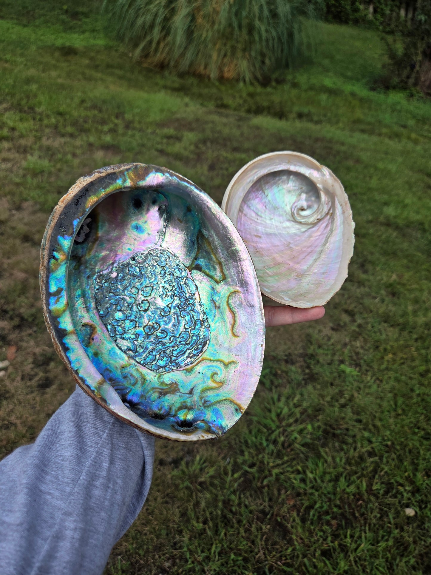 Comment to Claim Emma