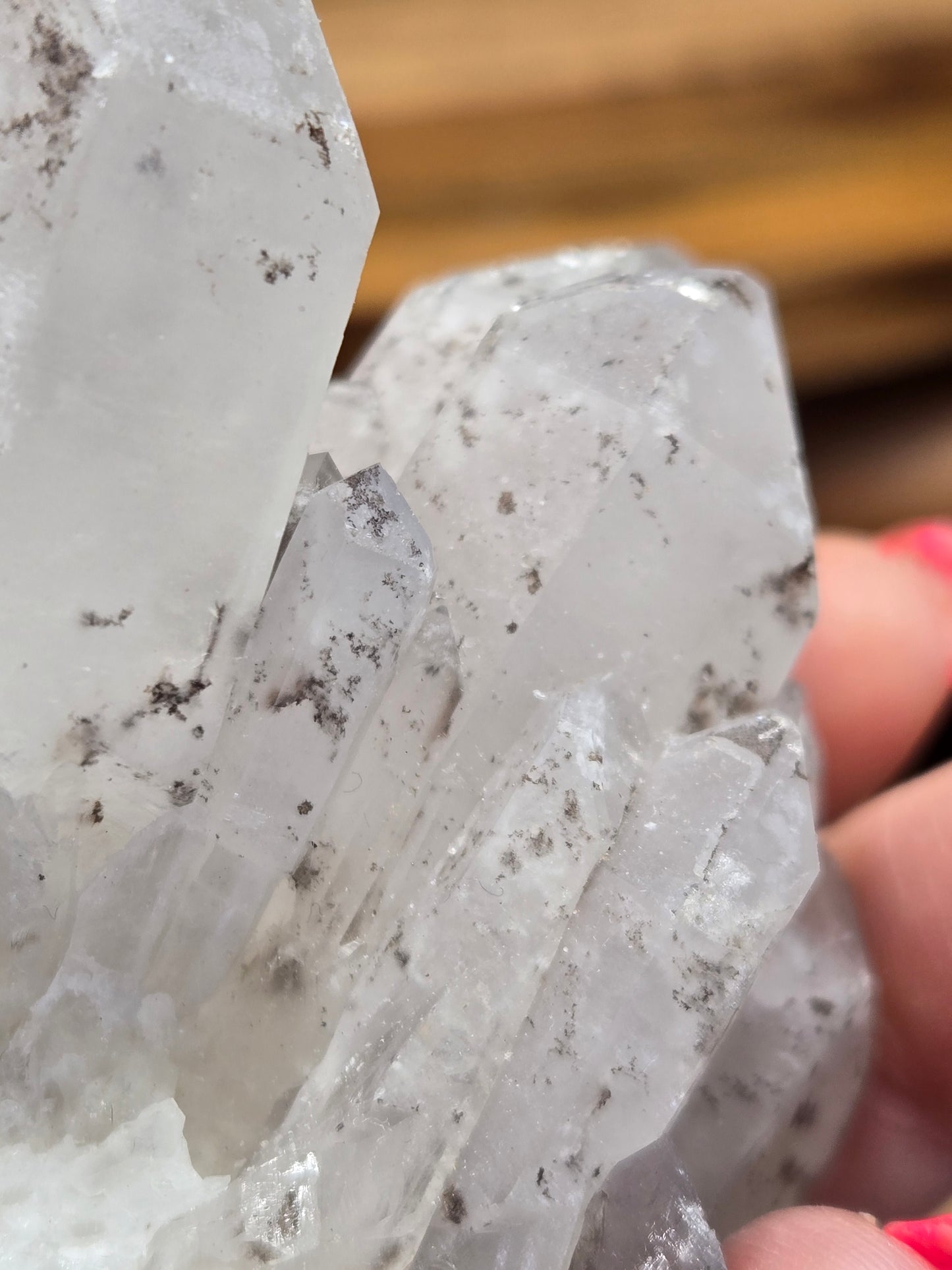 Black Lumerian/ Phantom Quartz